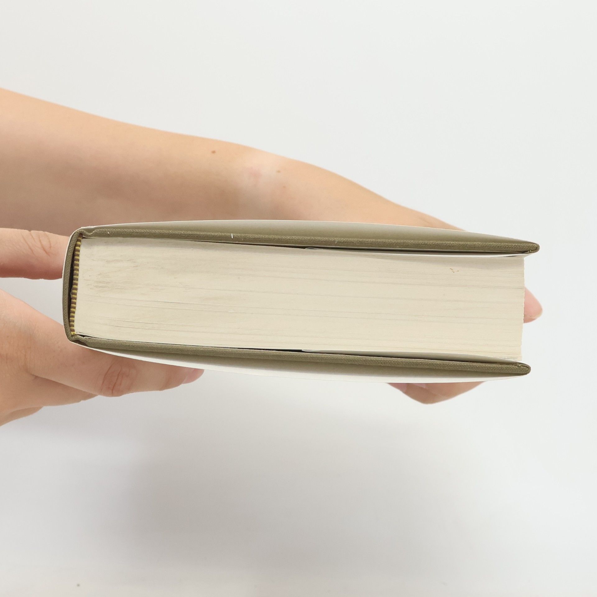 Walter Zitzenbacher Peter Rosegger. Sein Leben im Roman