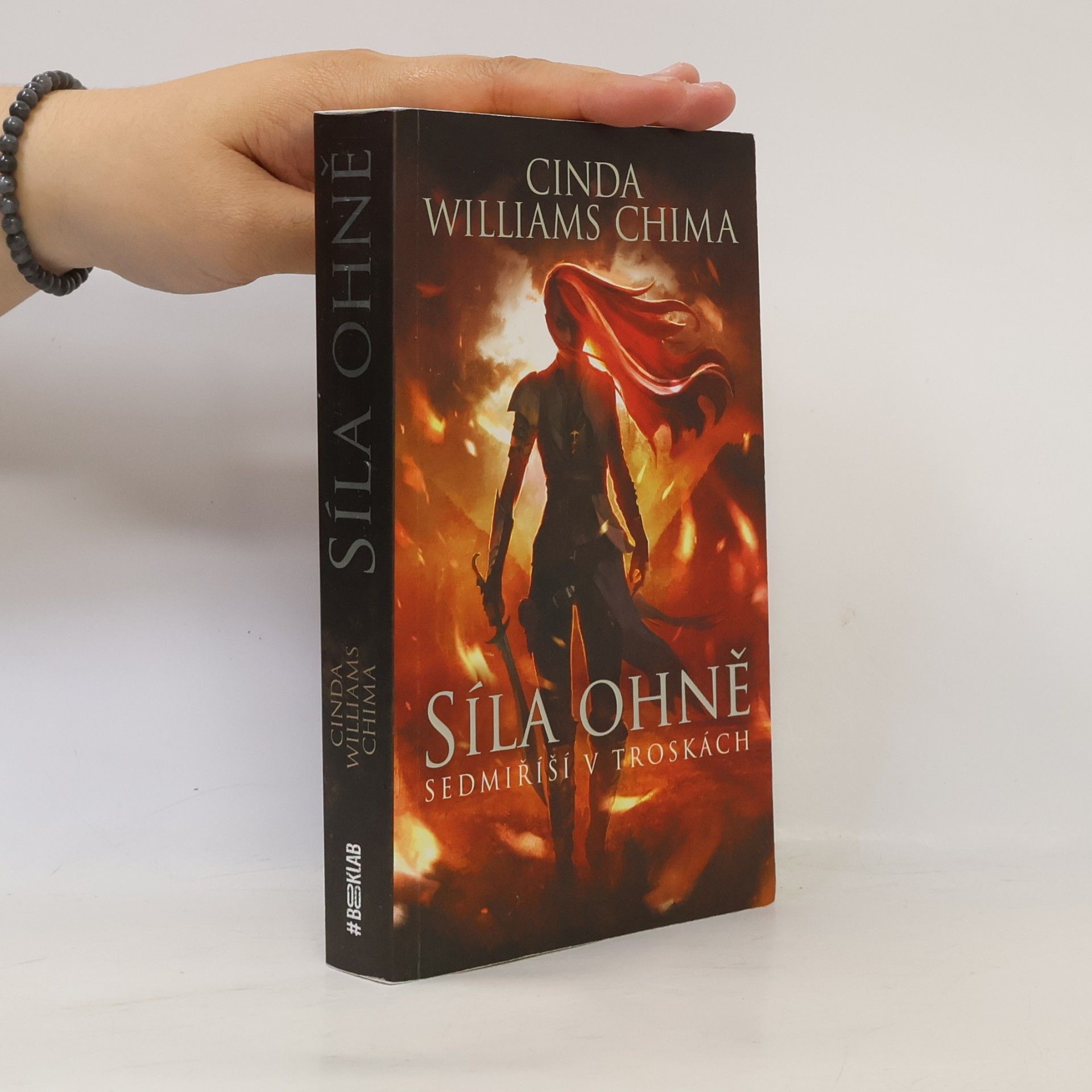 Cinda Williams Chima Sedmiříší v troskách. Síla ohně