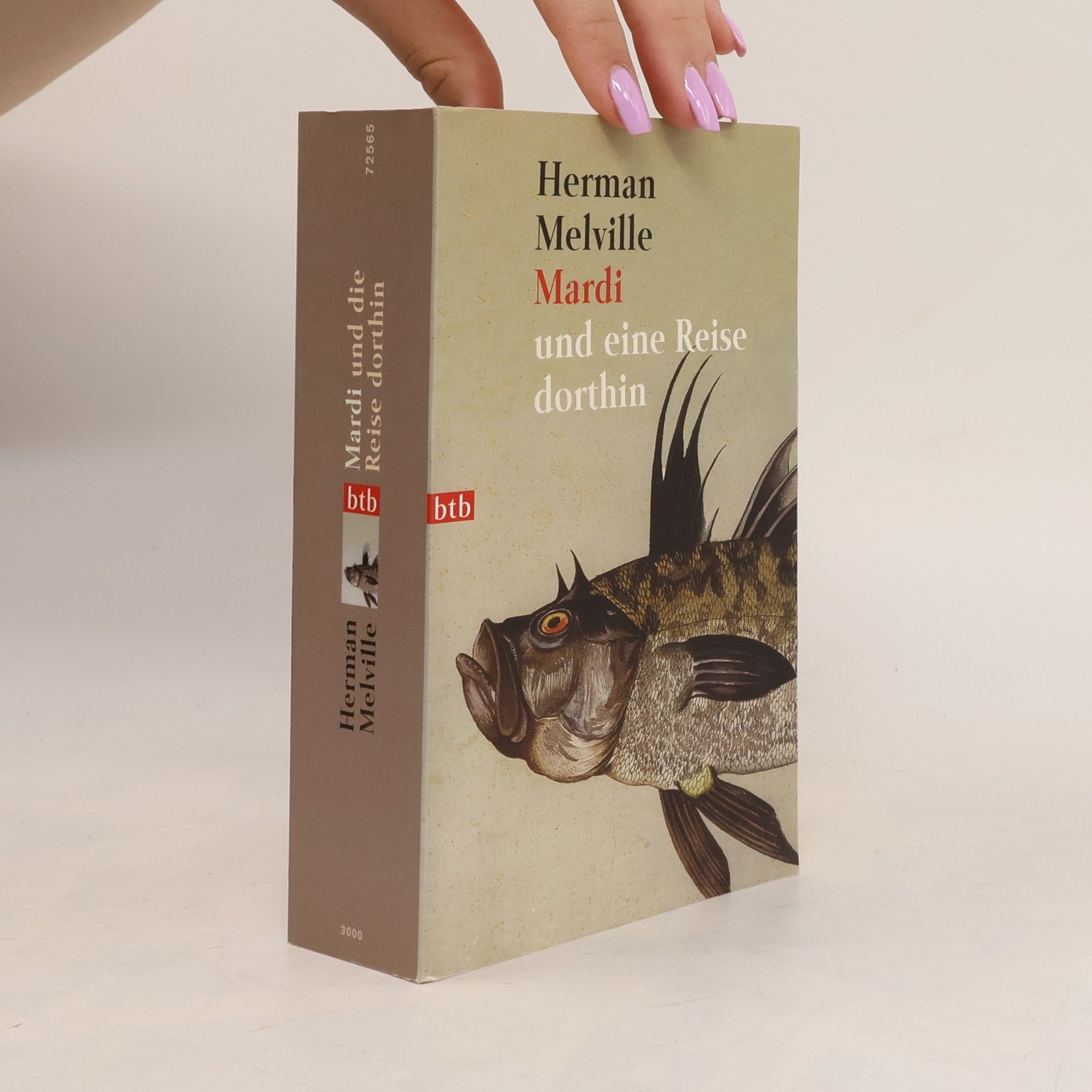 Herman Melville Mardi und eine Reise dorthin