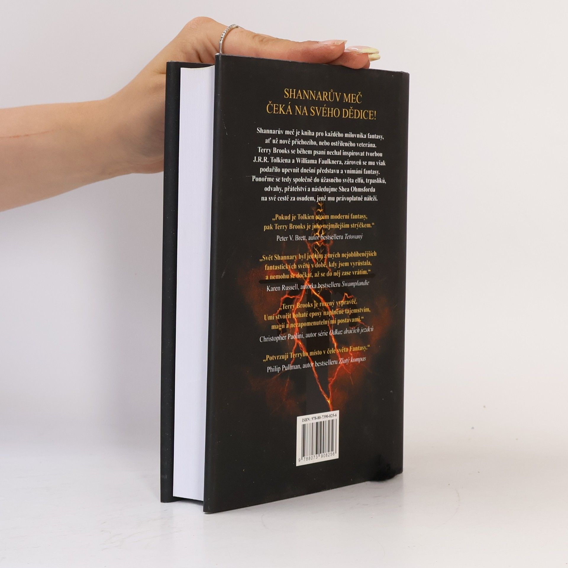 Terry Brooks Shannarův meč