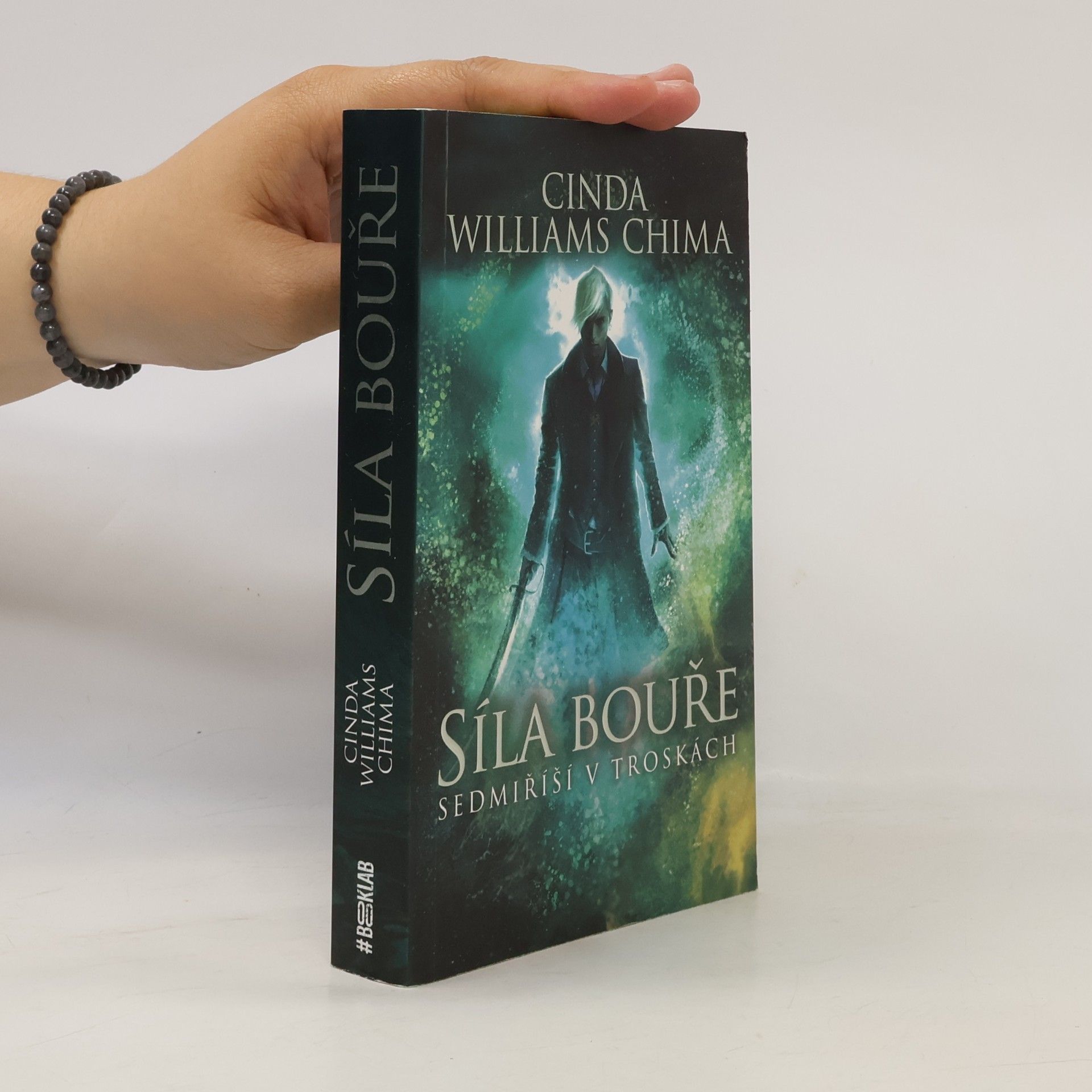 Cinda Williams Chima Sedmiříší v troskách. Síla bouře