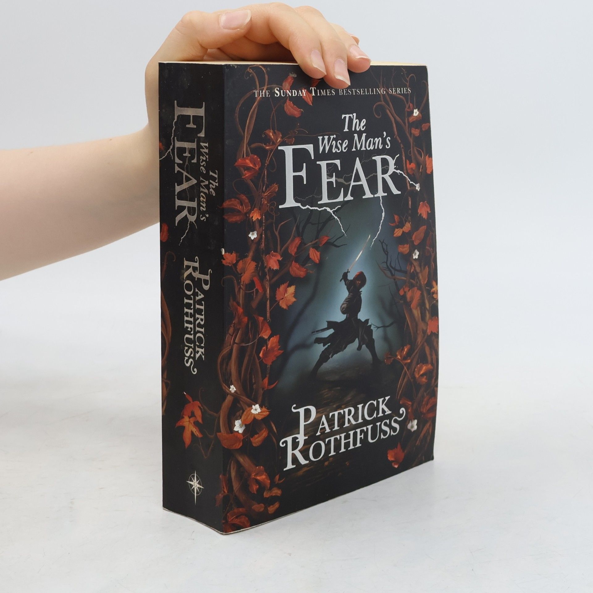 Patrick Rothfuss The Wise Man's Fear