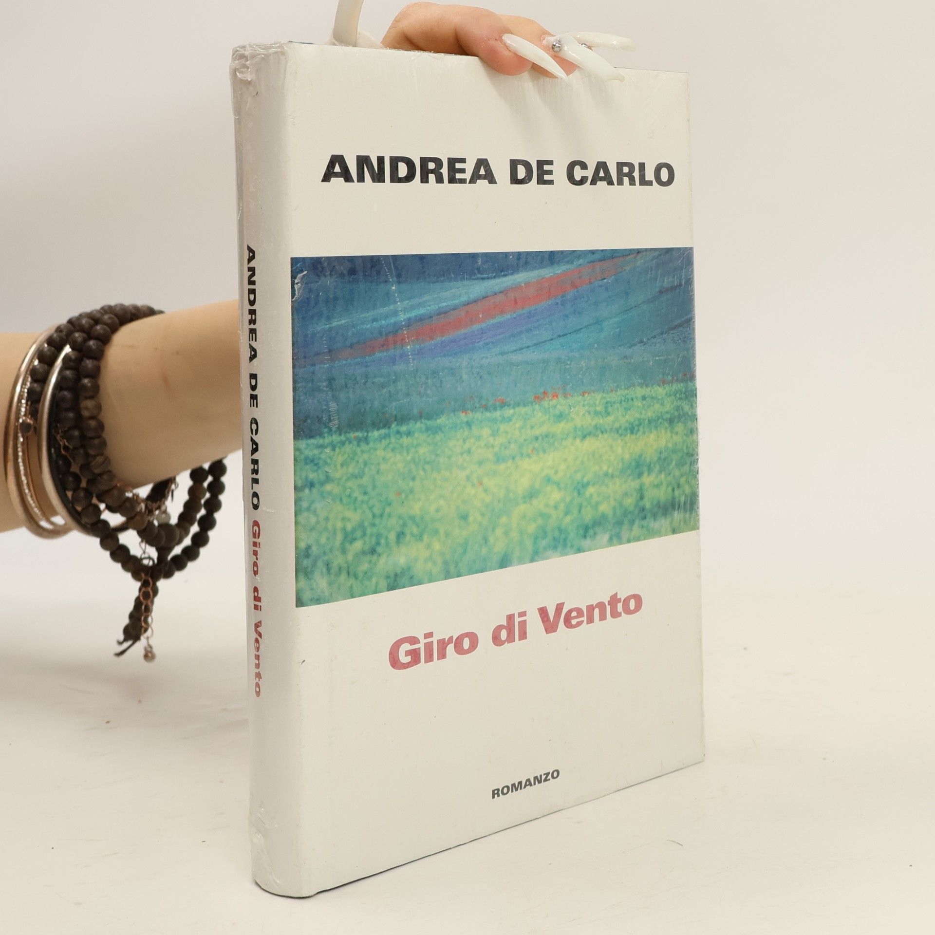 Andrea De Carlo Giro di Vento