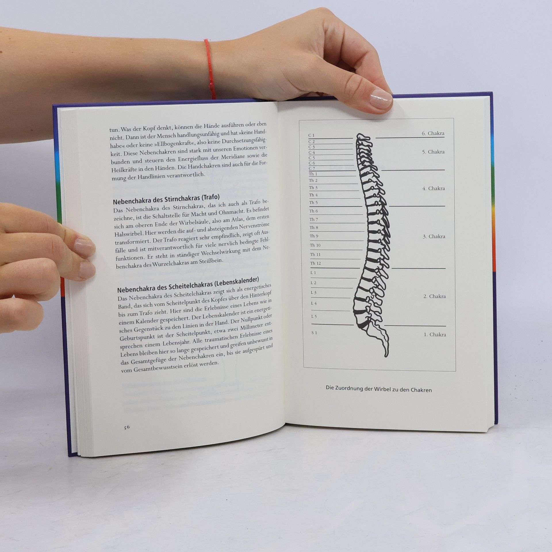 Horst Krohne Das Hausbuch der Geistheilung