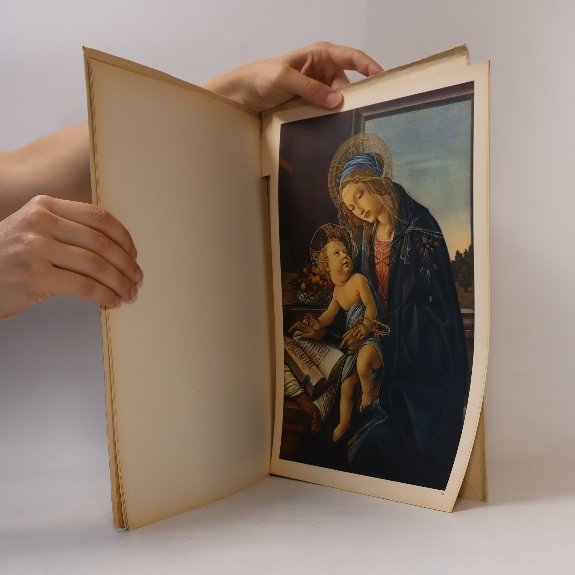 Roberto Salvini Botticelli : 10 Farbtafeln