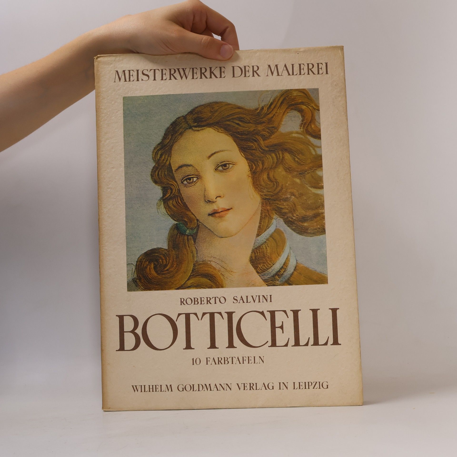 Roberto Salvini Botticelli : 10 Farbtafeln