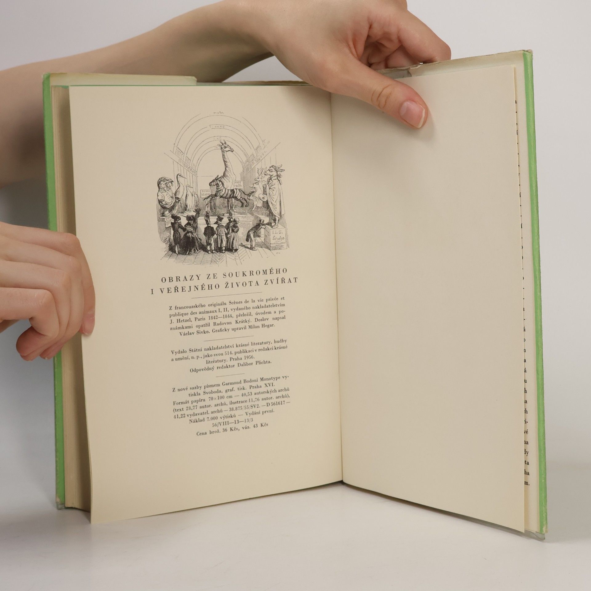 Various authors Obrazy ze soukromého i veřejného života zvířat
