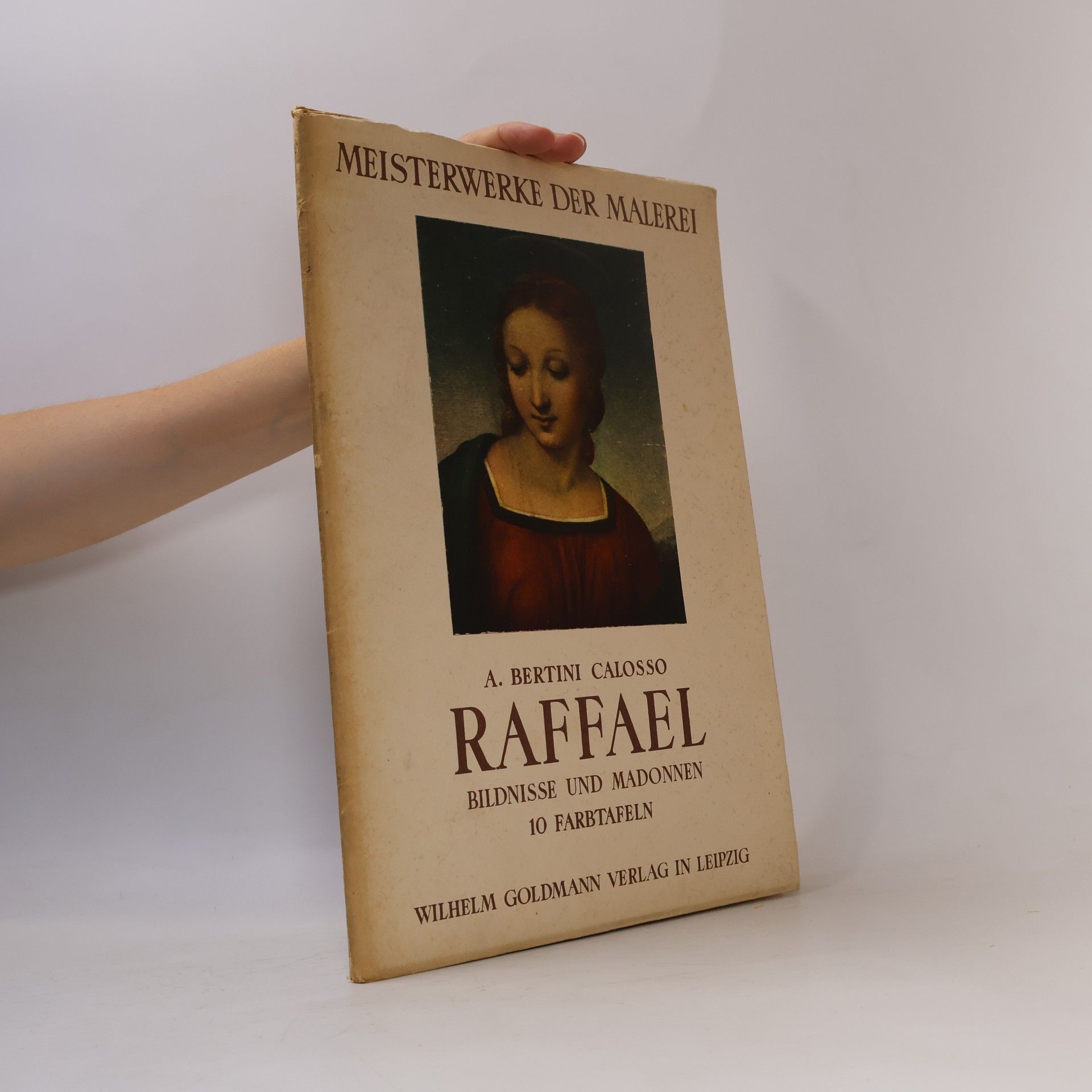 Autores varios Meisterwerke der Malerei: Raffael - Bildnisse und Madonnen