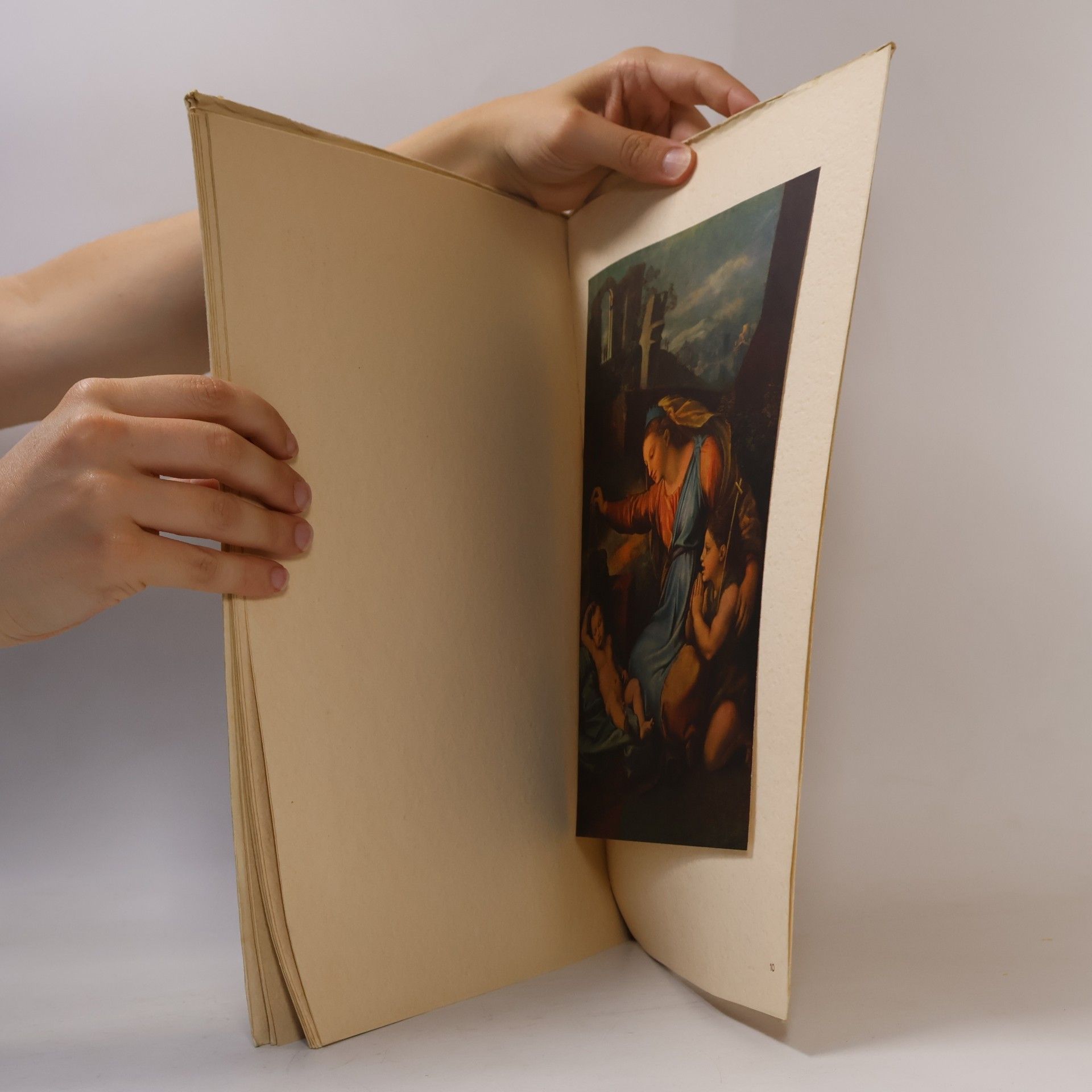 Autores varios Meisterwerke der Malerei: Raffael - Bildnisse und Madonnen