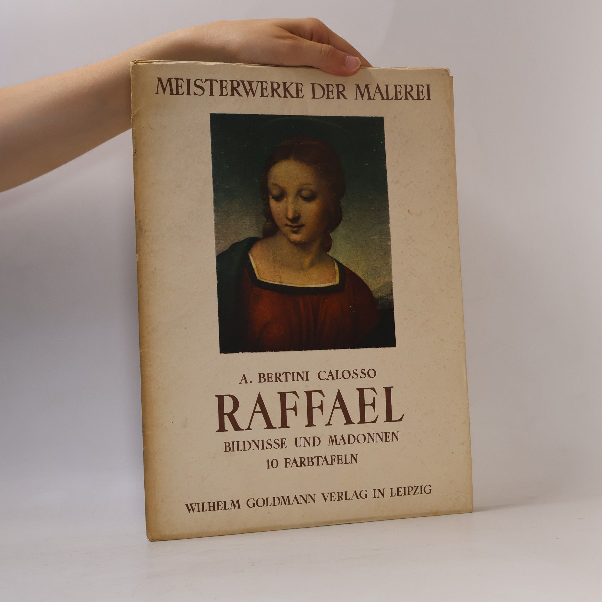 Autores varios Meisterwerke der Malerei: Raffael - Bildnisse und Madonnen