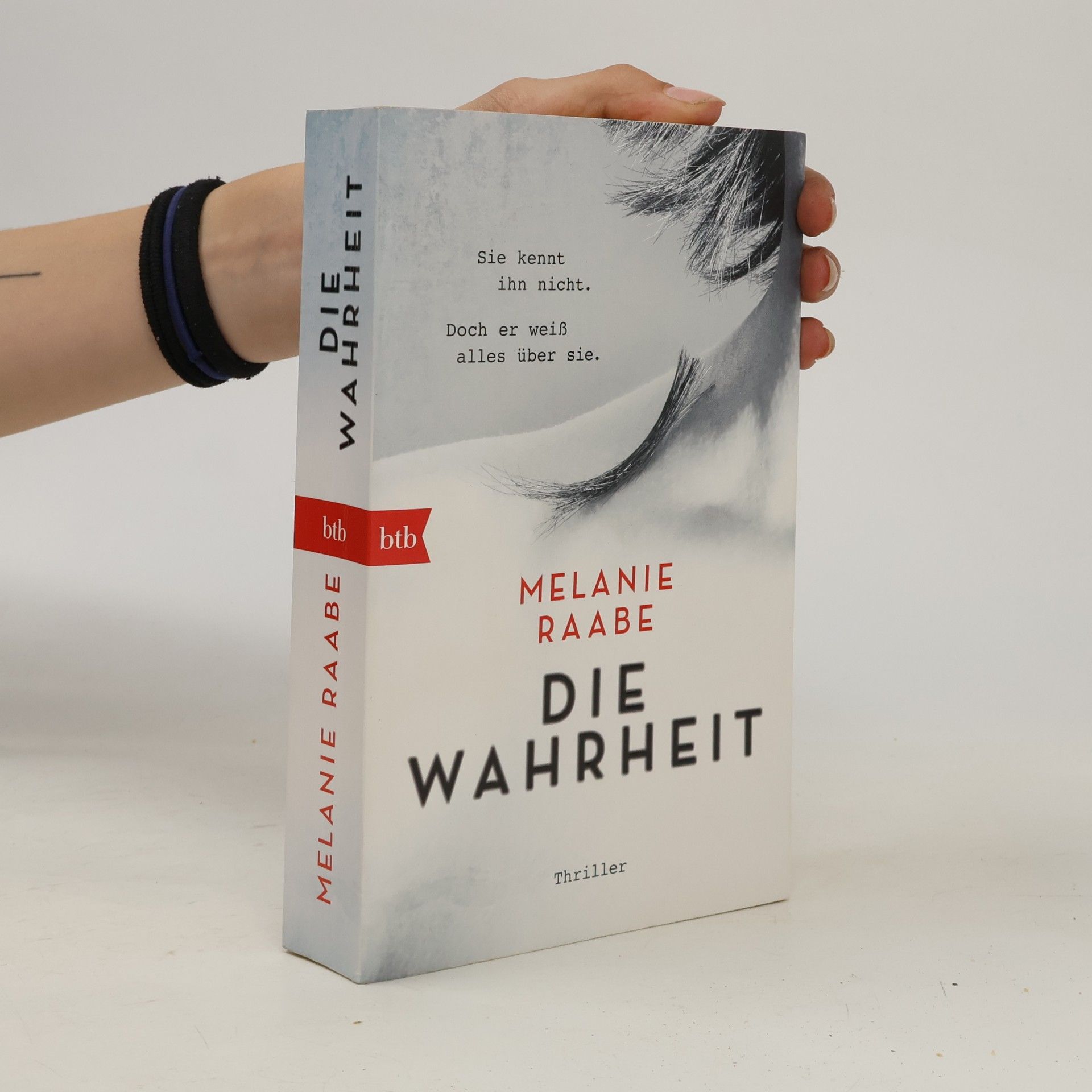 Melanie Raabe Die Wahrheit