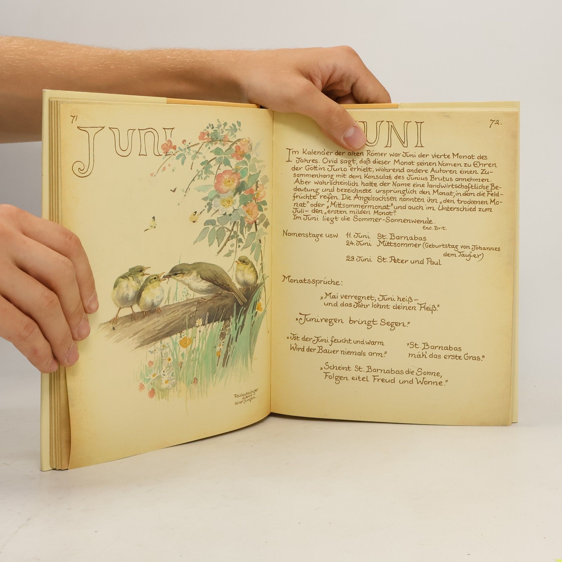 Edith Holden Vom Glück, mit der Natur zu leben