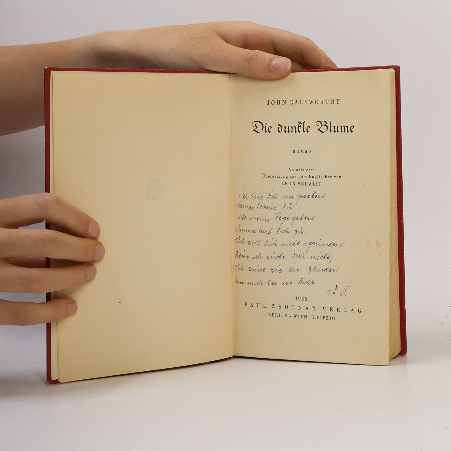 John Galsworthy Die dunkle Blume