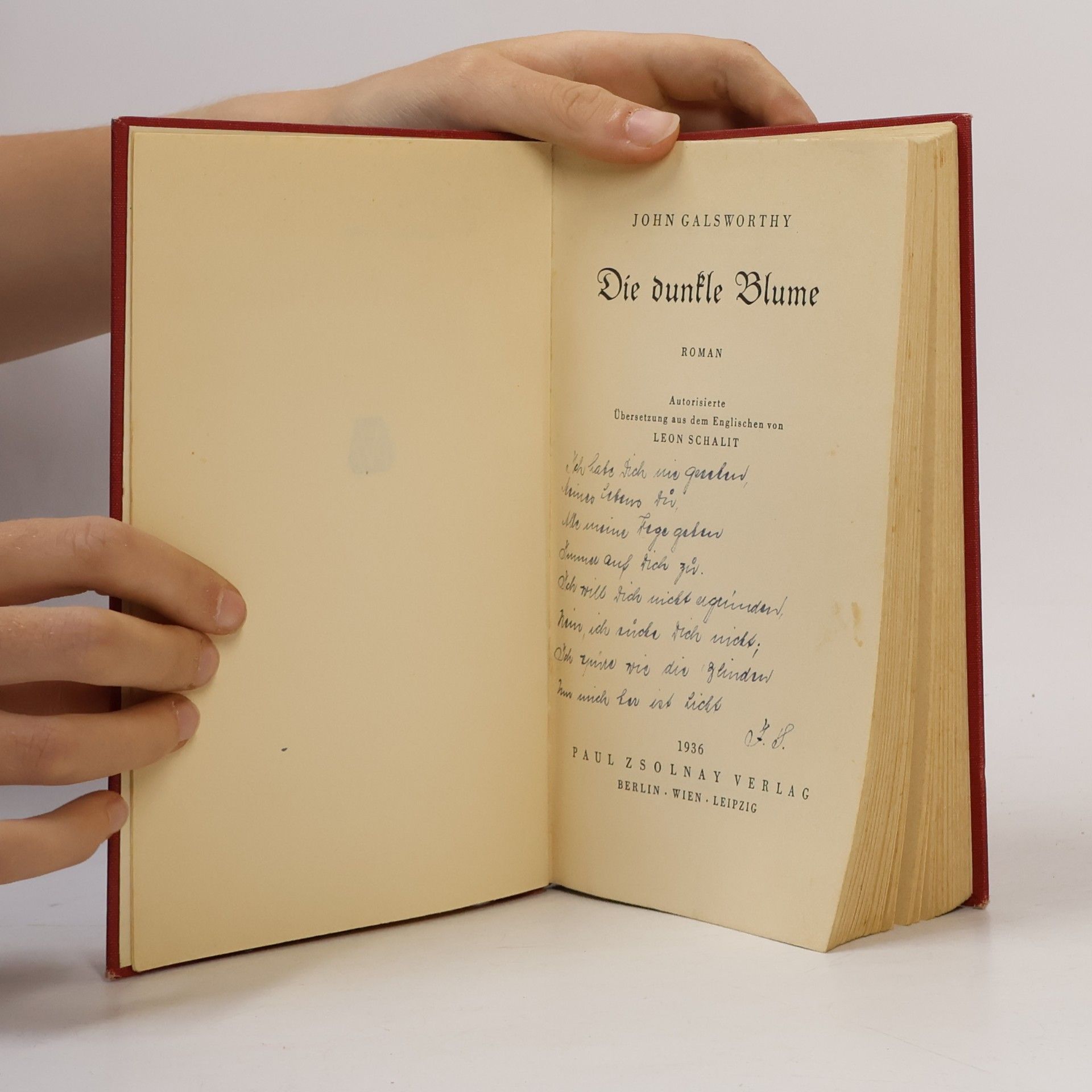 John Galsworthy Die dunkle Blume