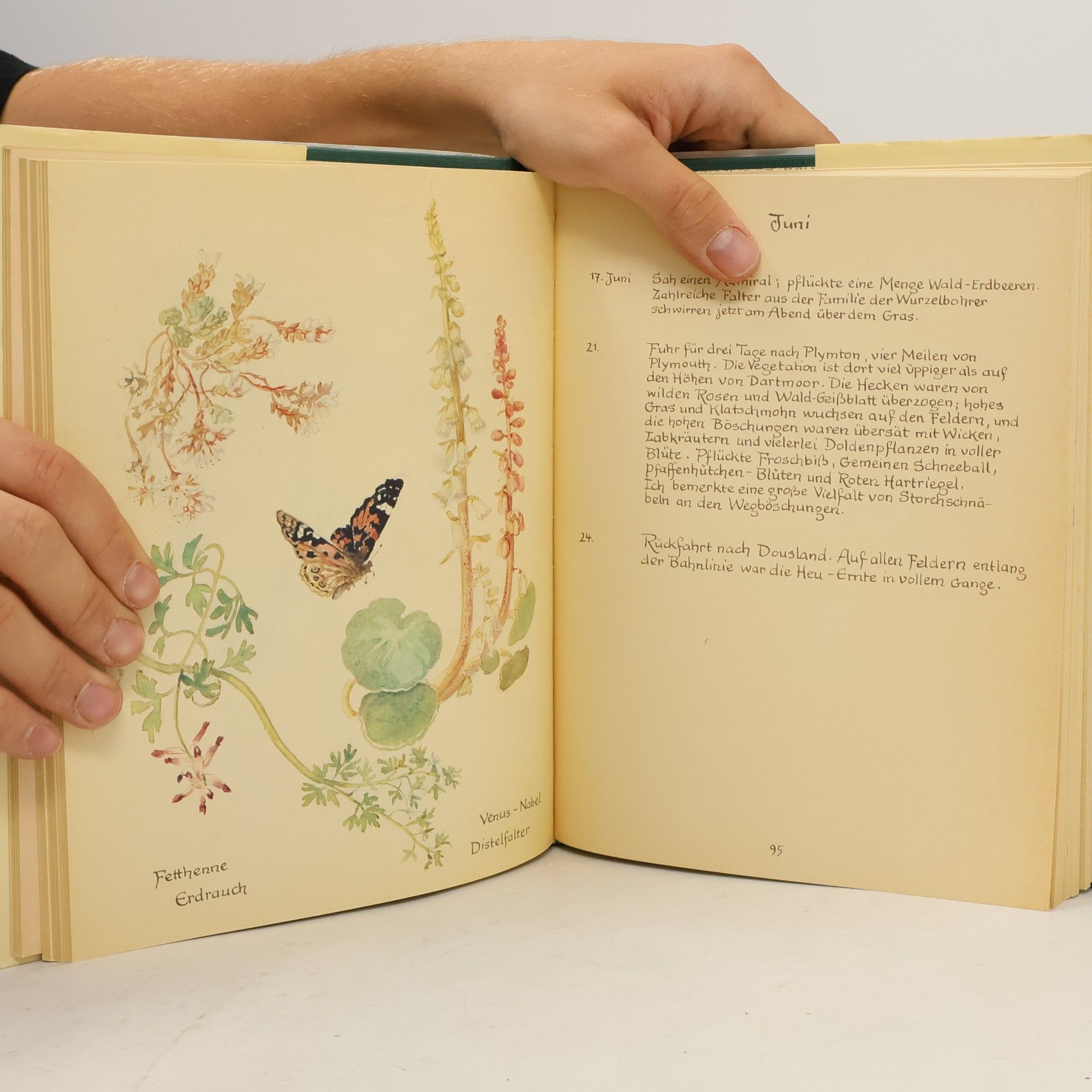 Edith Holden Die schöne Stimme der Natur