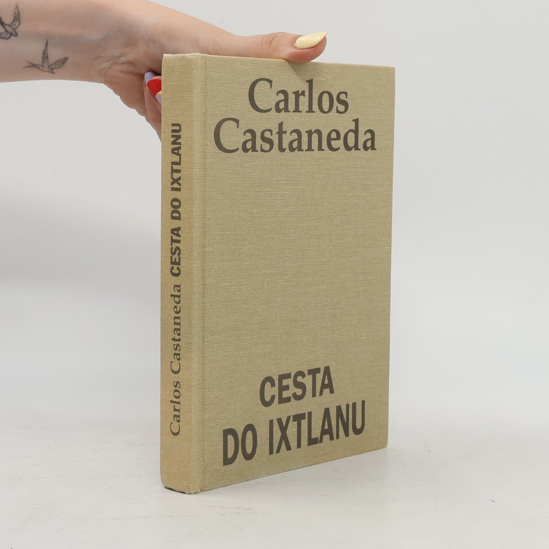 Carlos Castaneda Cesta do Ixtlanu