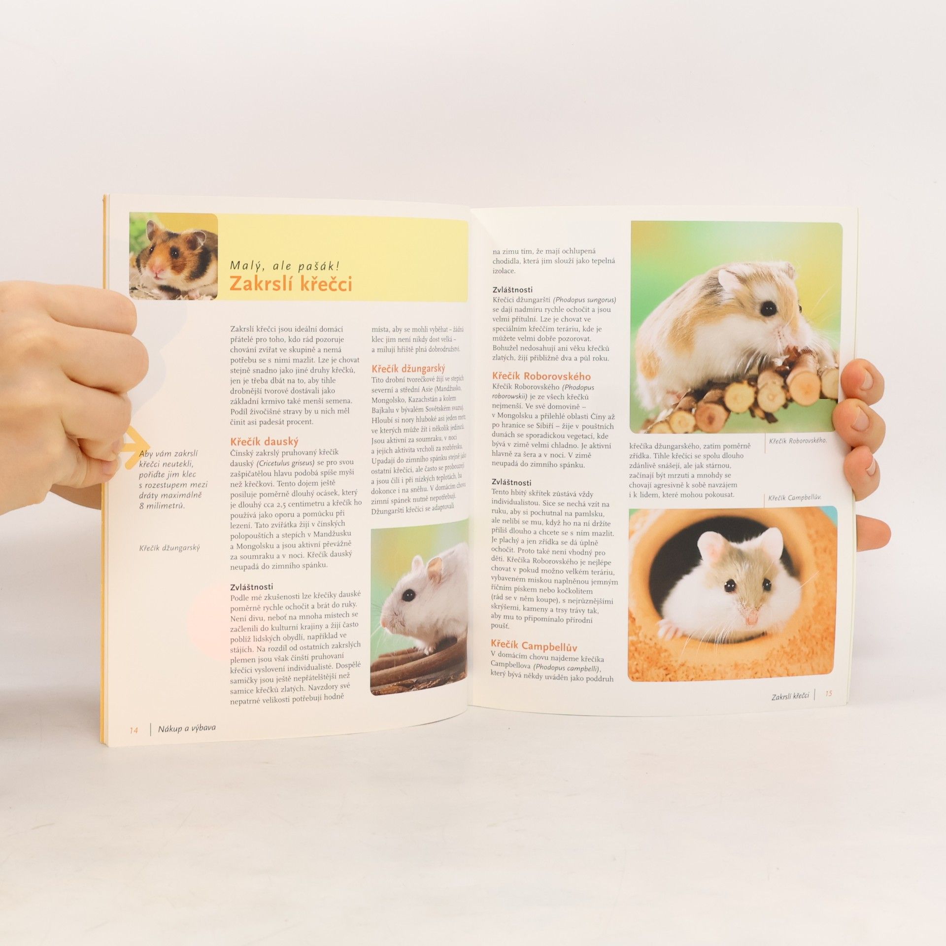Angela Beck Křečci: Chov & péče, porozumění & zabavení