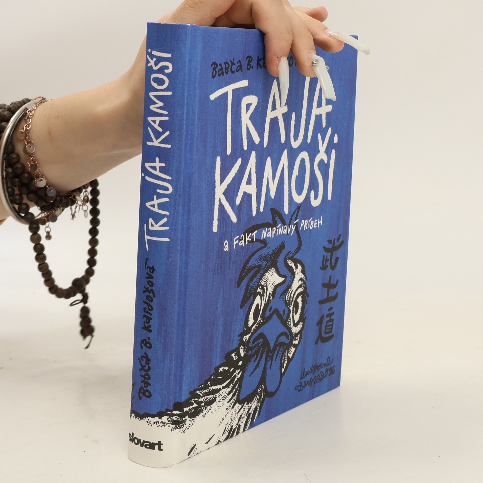 Barbora Kardošová Traja kamoši a fakt napínavý příbeh