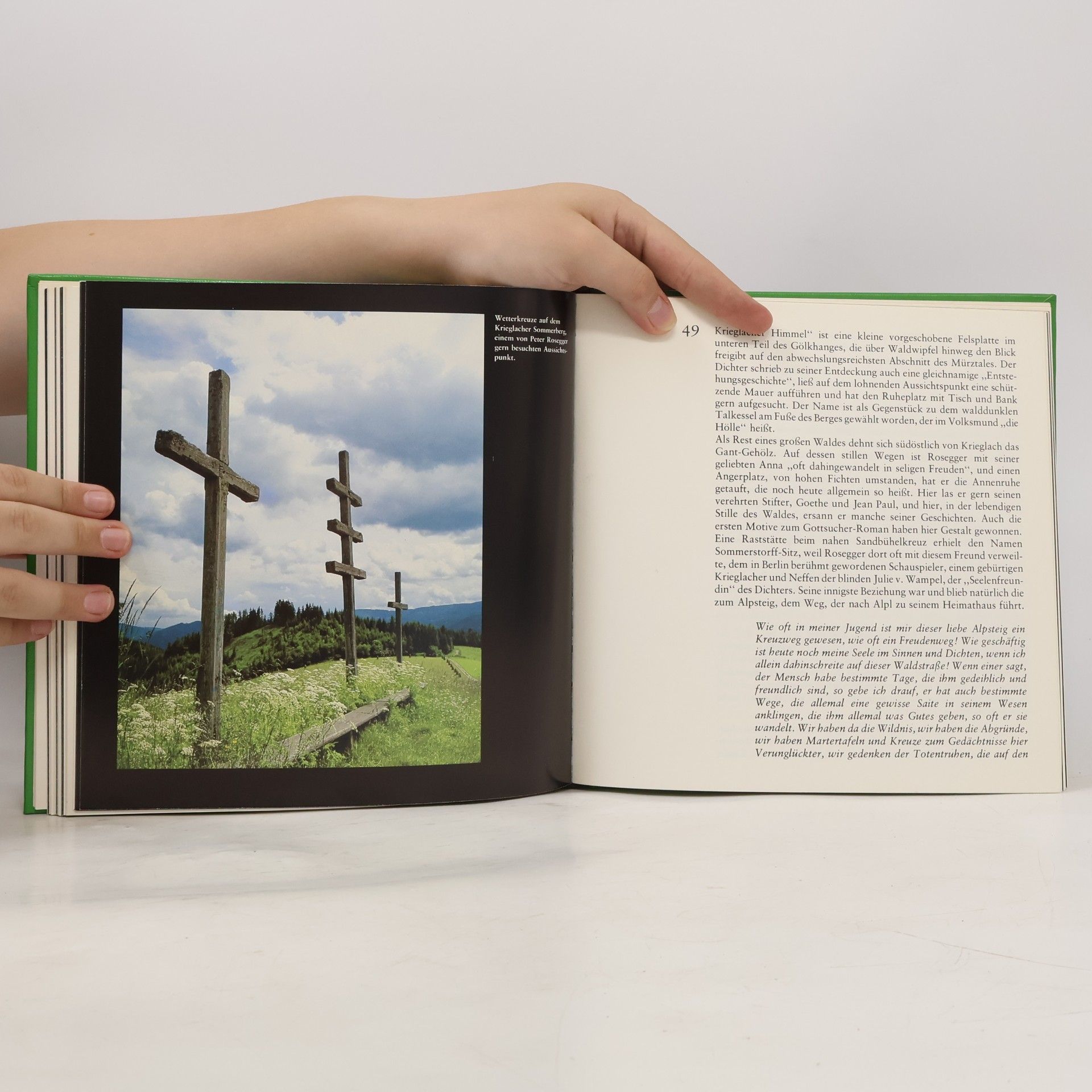 Charlotte Anderle Roseggers Waldheimat