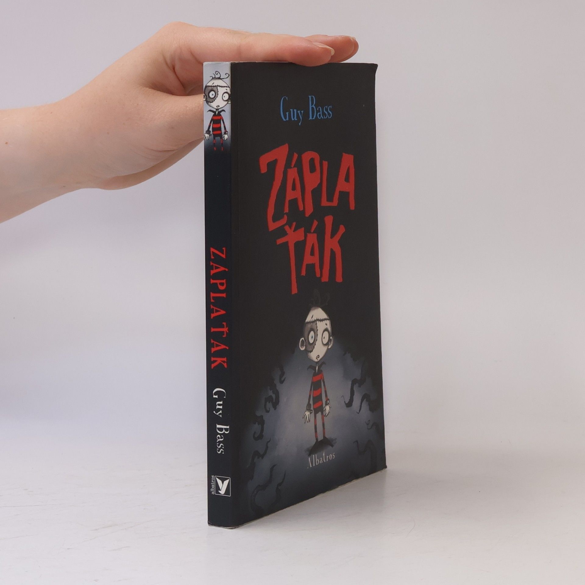 Guy Bass Záplaťák