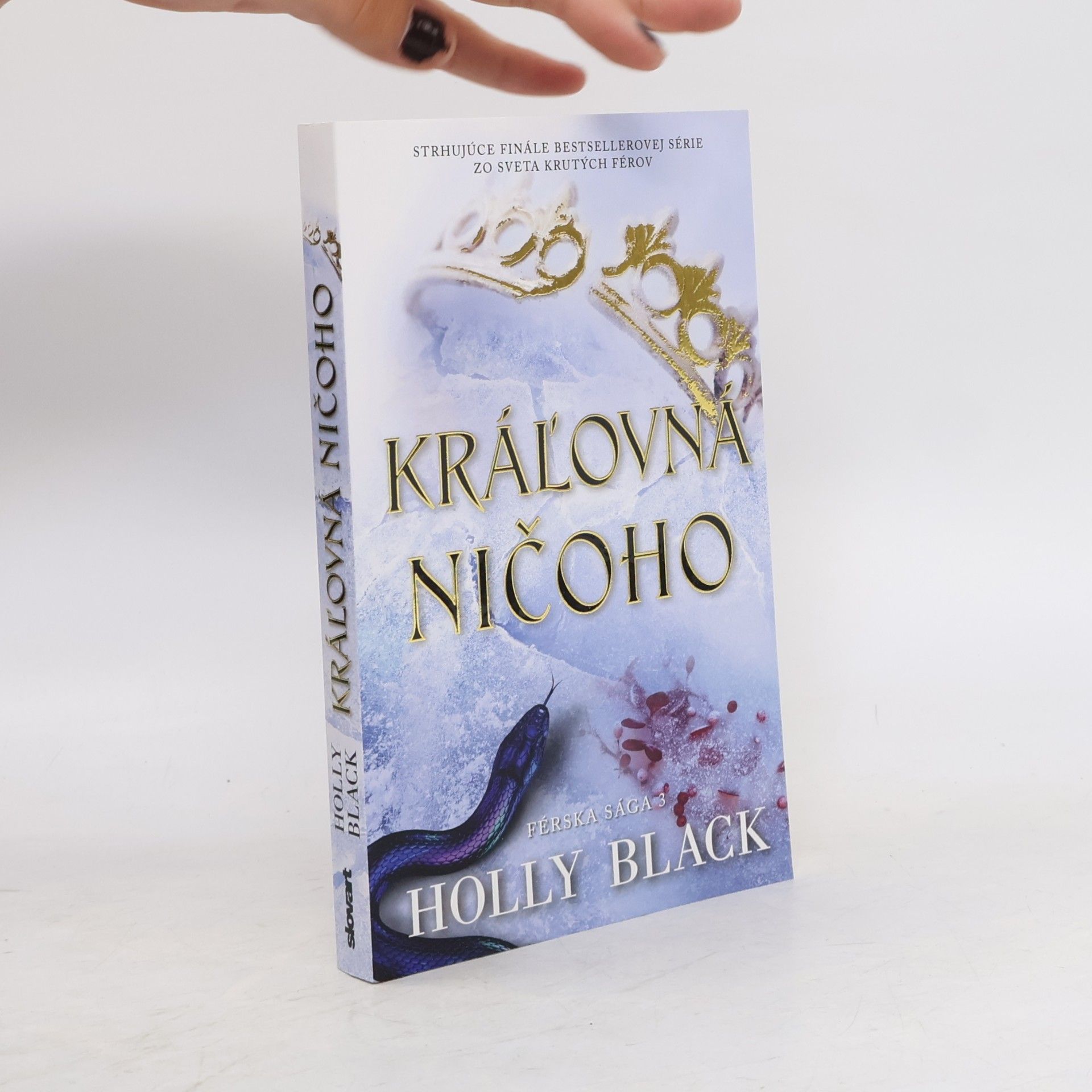 Holly Black Kráľovná ničoho