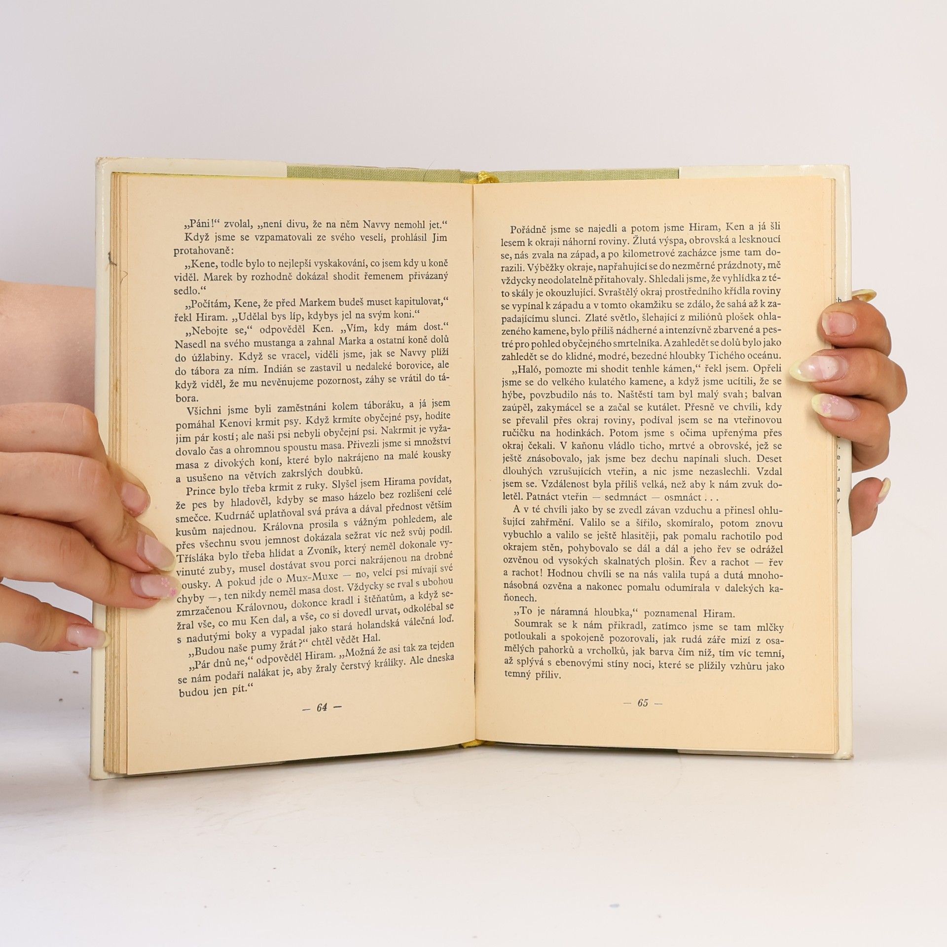 Zane Grey Na lovu šelem