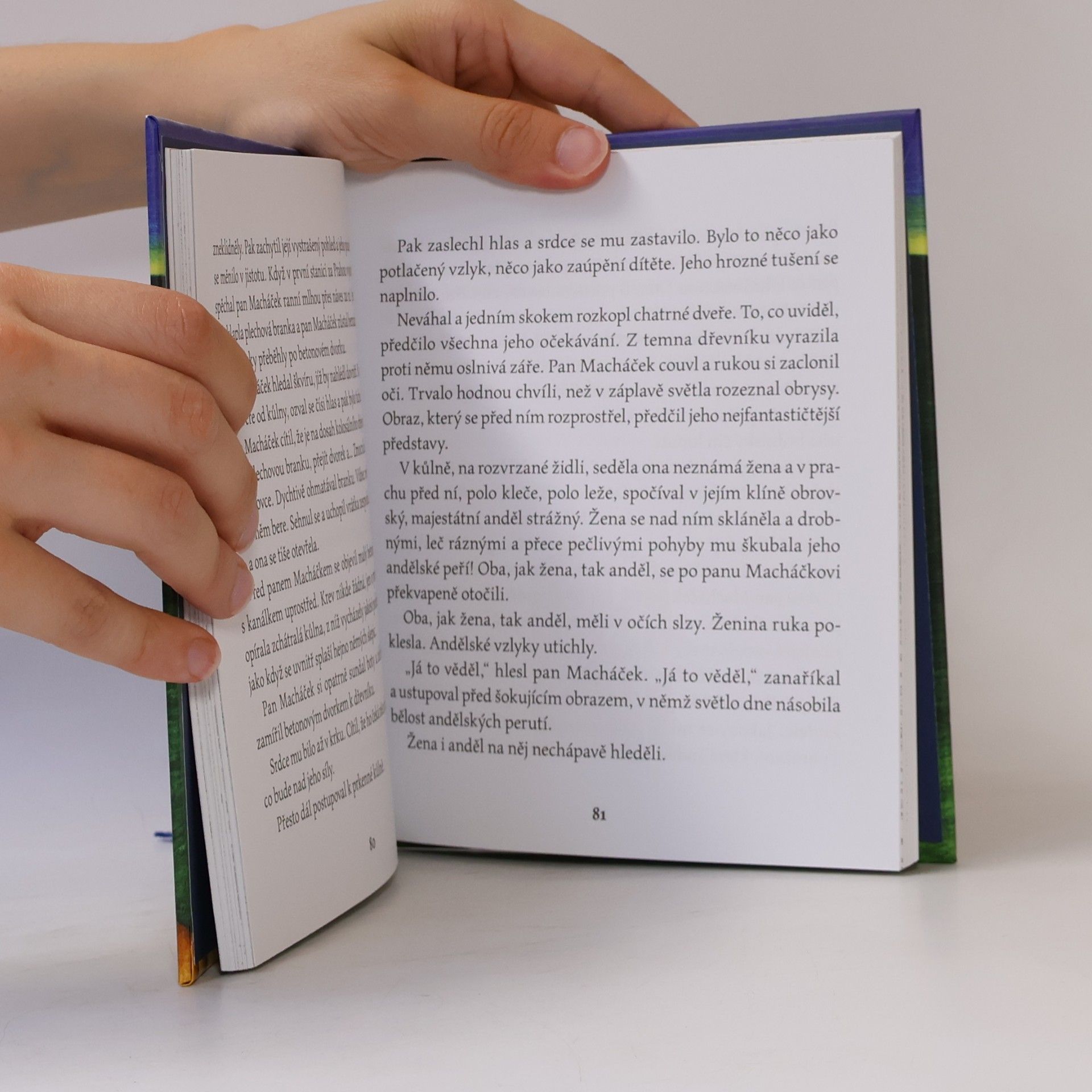 Bedřich Ludvík Pohádky pro otce a matky