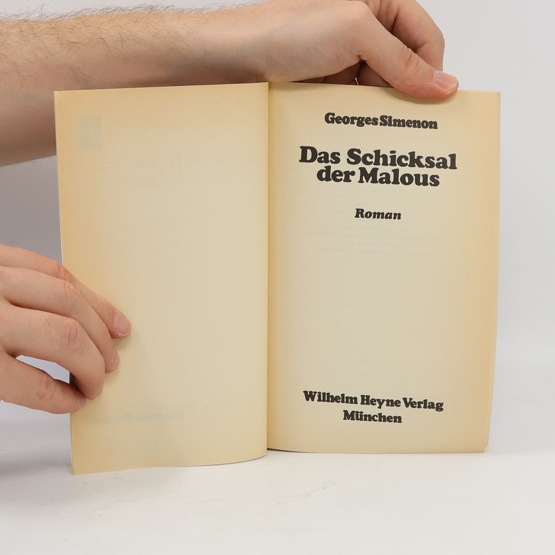 Georges Simenon Das Schicksal der Malous