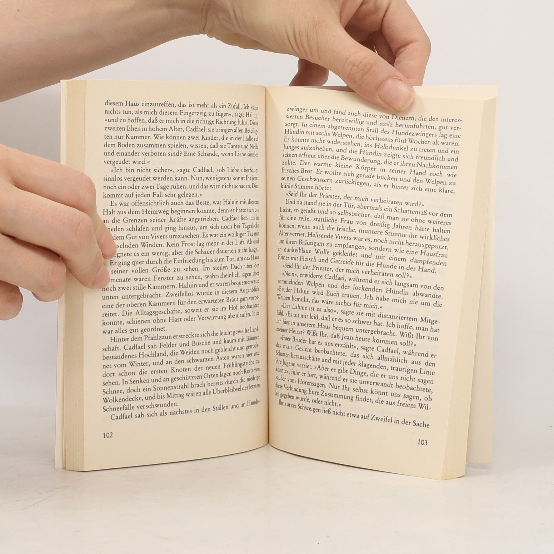 Edith Pargeter Bruder Cadfael und das fremde Mädchen