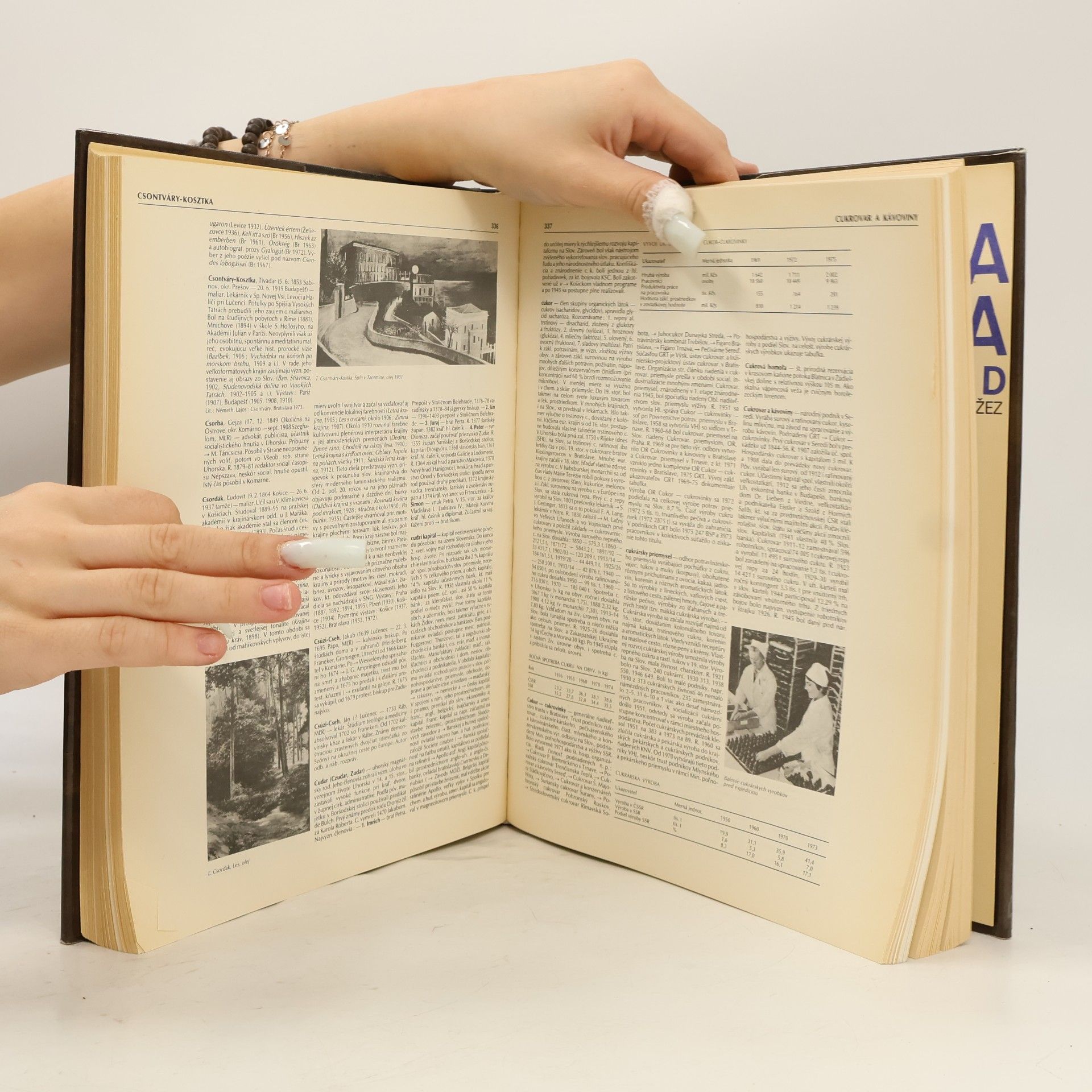 Collectif d'auteurs Encyklopédia Slovenska I. A-D