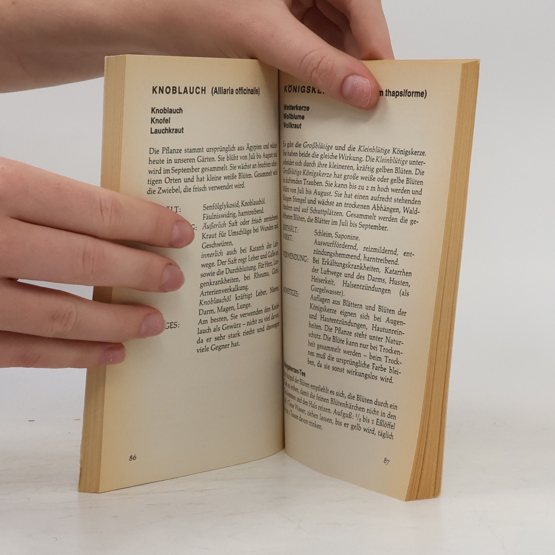 Eva Trauter Das Heyne-Kräuterbuch