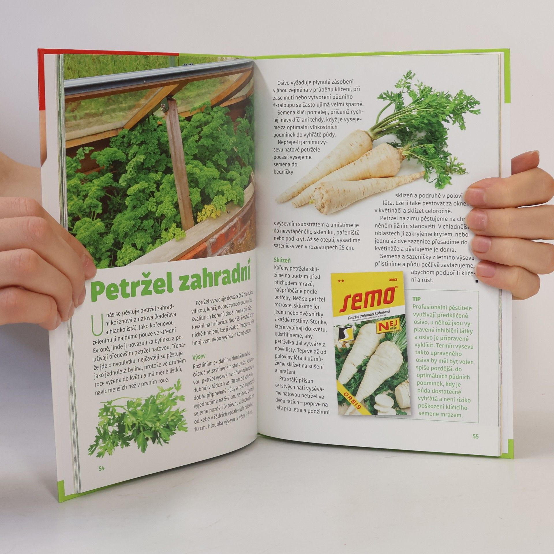 Autorenkollektiv Pěstujeme ze semínek