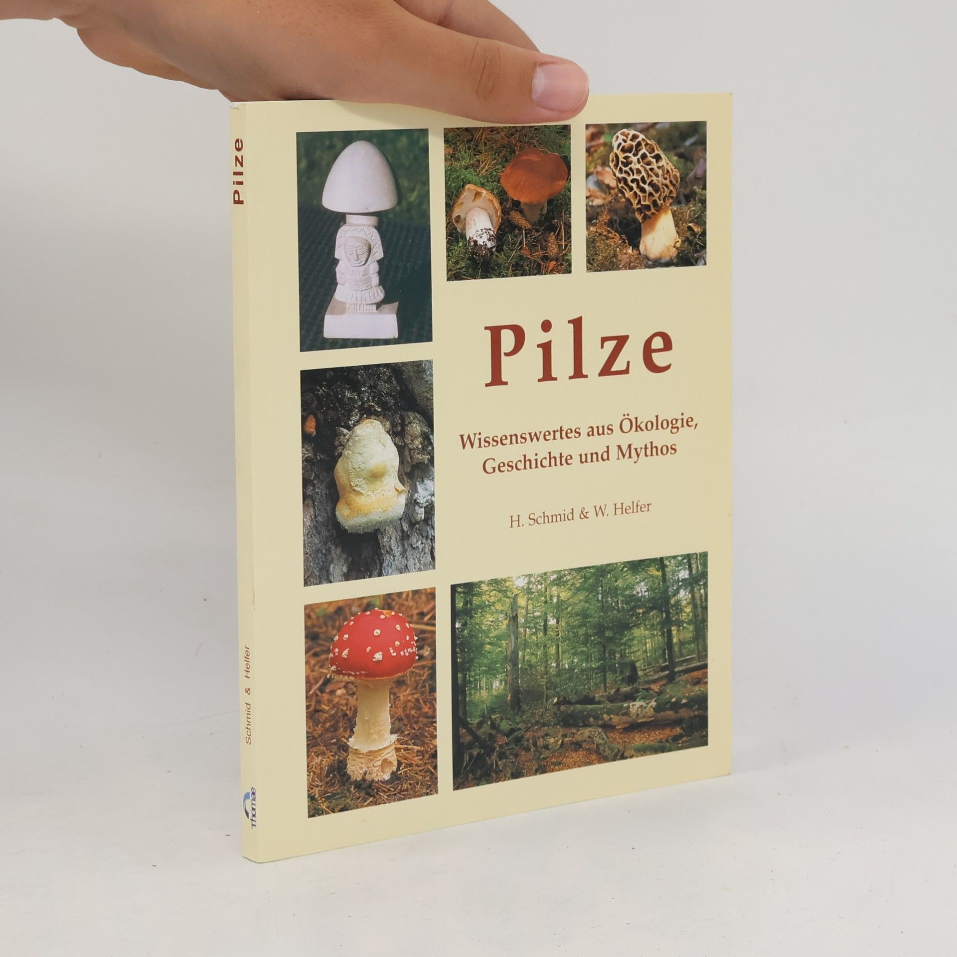Helmuth Schmid Heckel Pilze