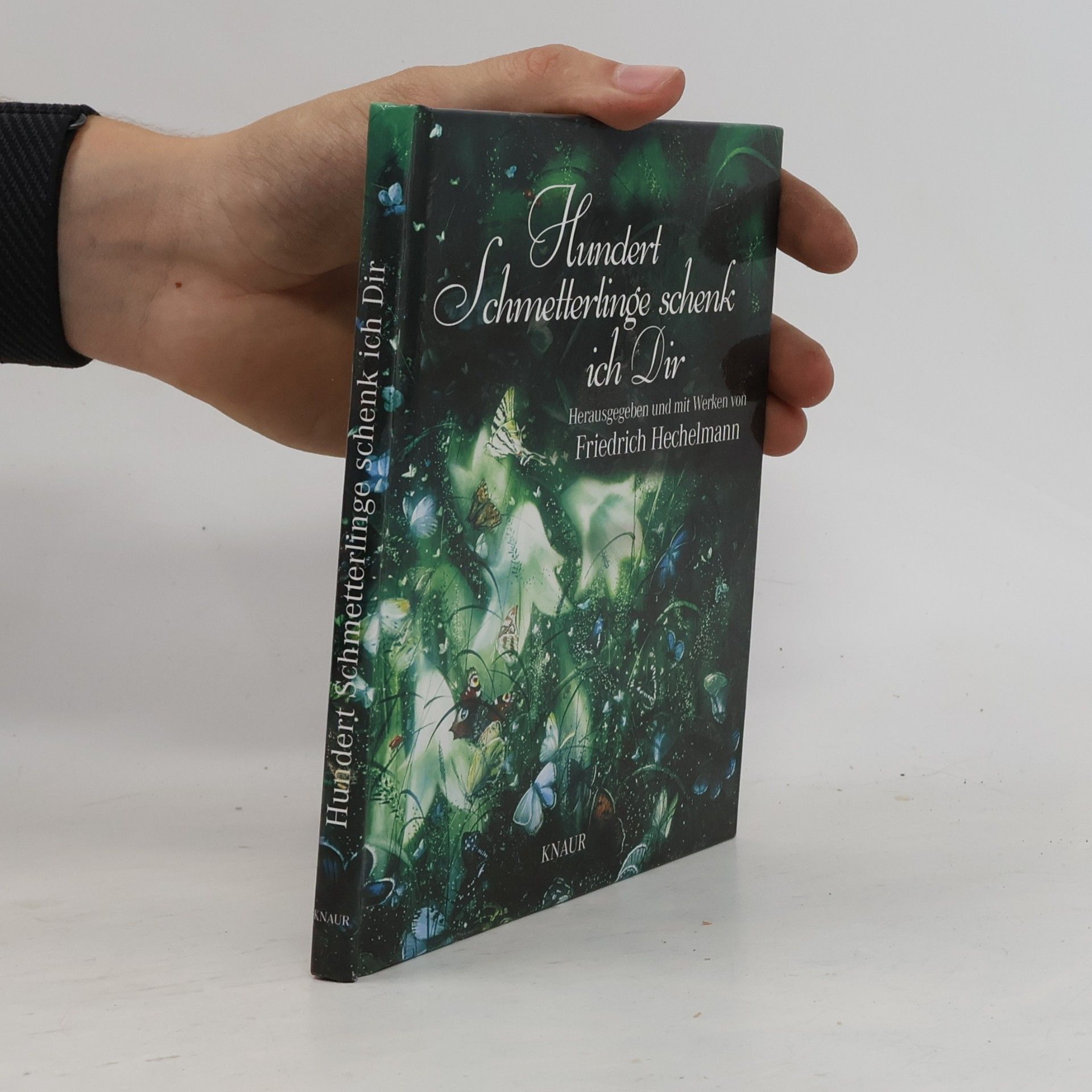 Friedrich Hechelmann Hundert Schmetterlinge schenk ich dir. Herausgegeben und mit Werken von Friedrich Hechelmann