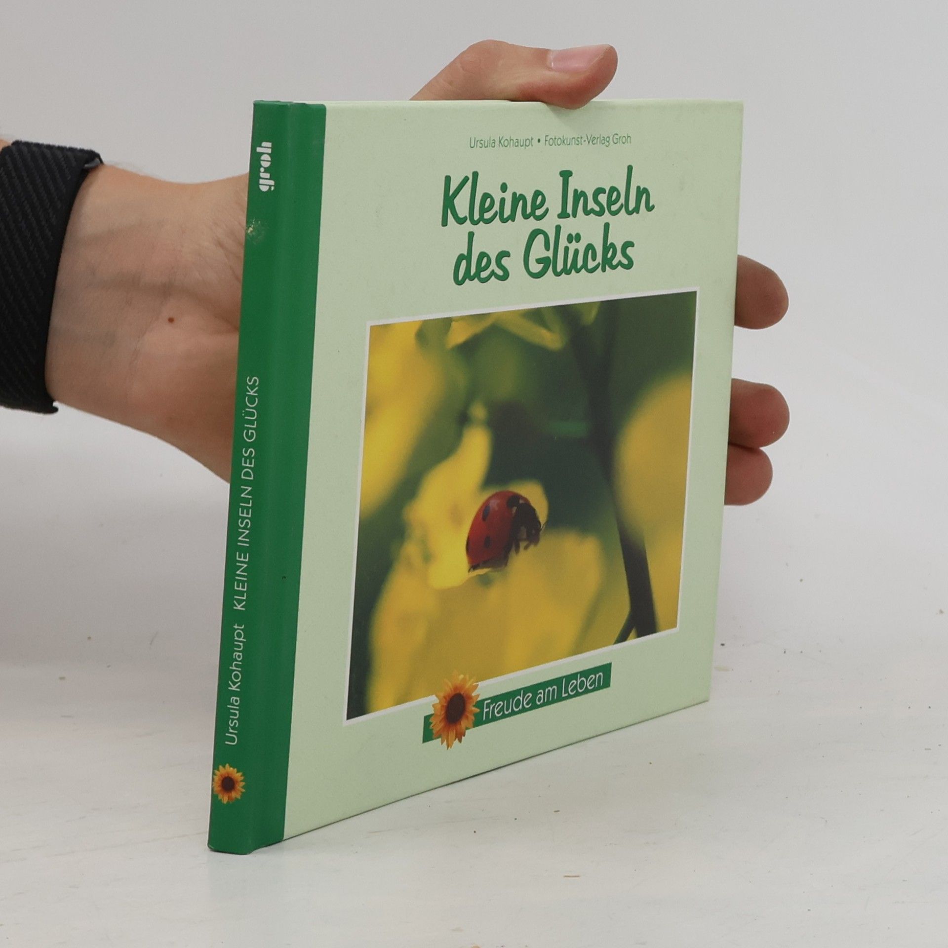 Ursula Kohaupt Kleine Inseln des Glücks
