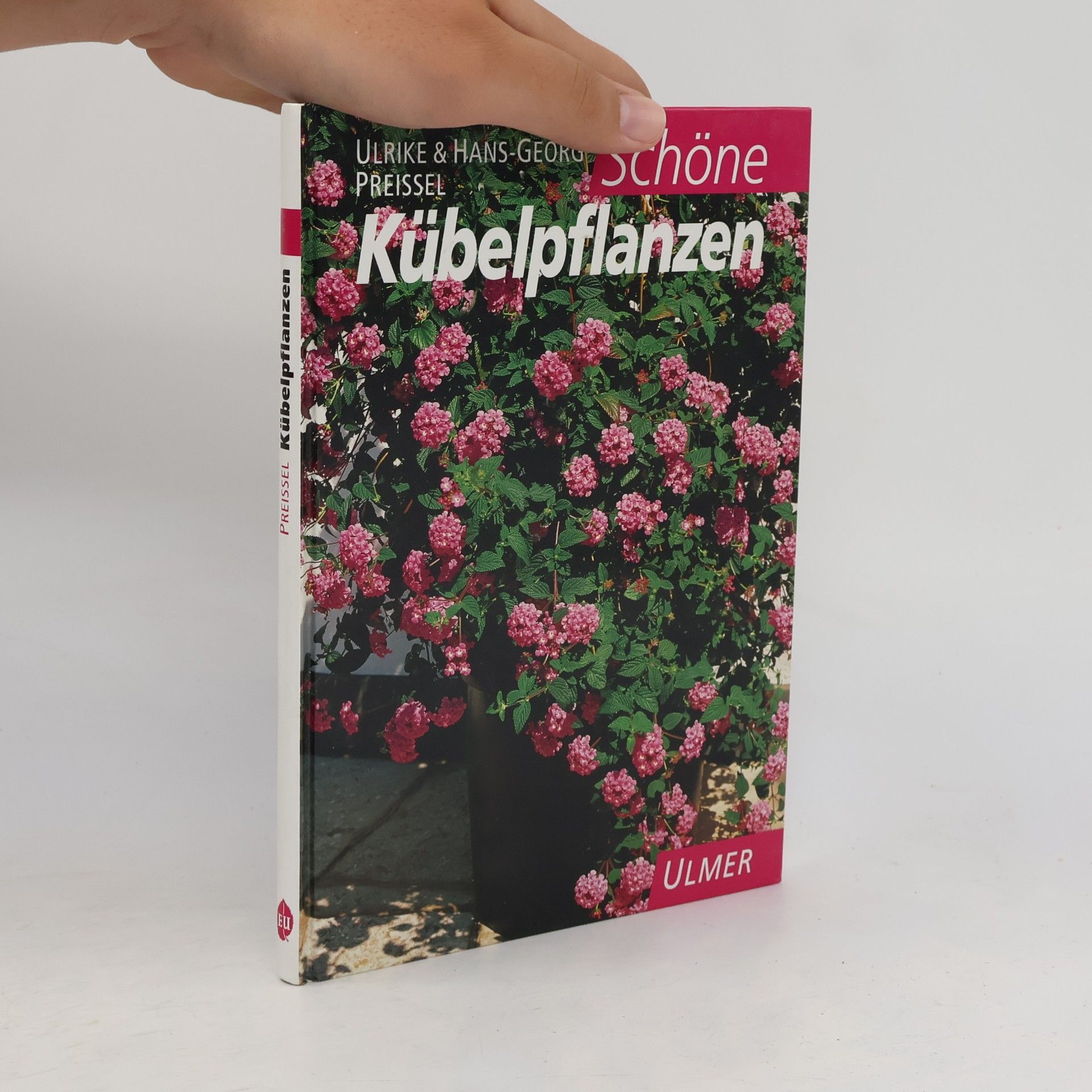 Ulrike Preißel Schöne Kübelpflanzen