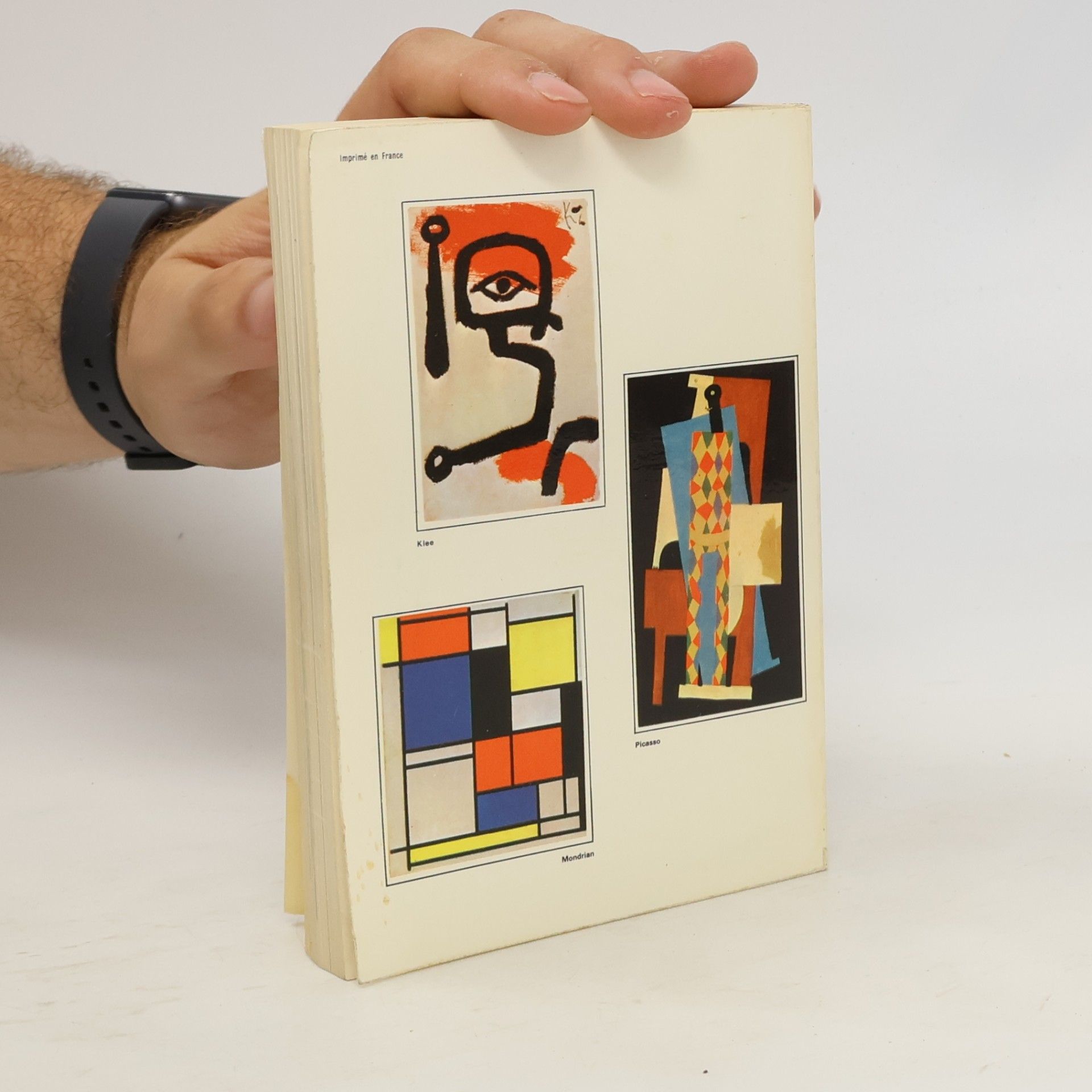 Herbert Read Histoire de la Peinture moderne