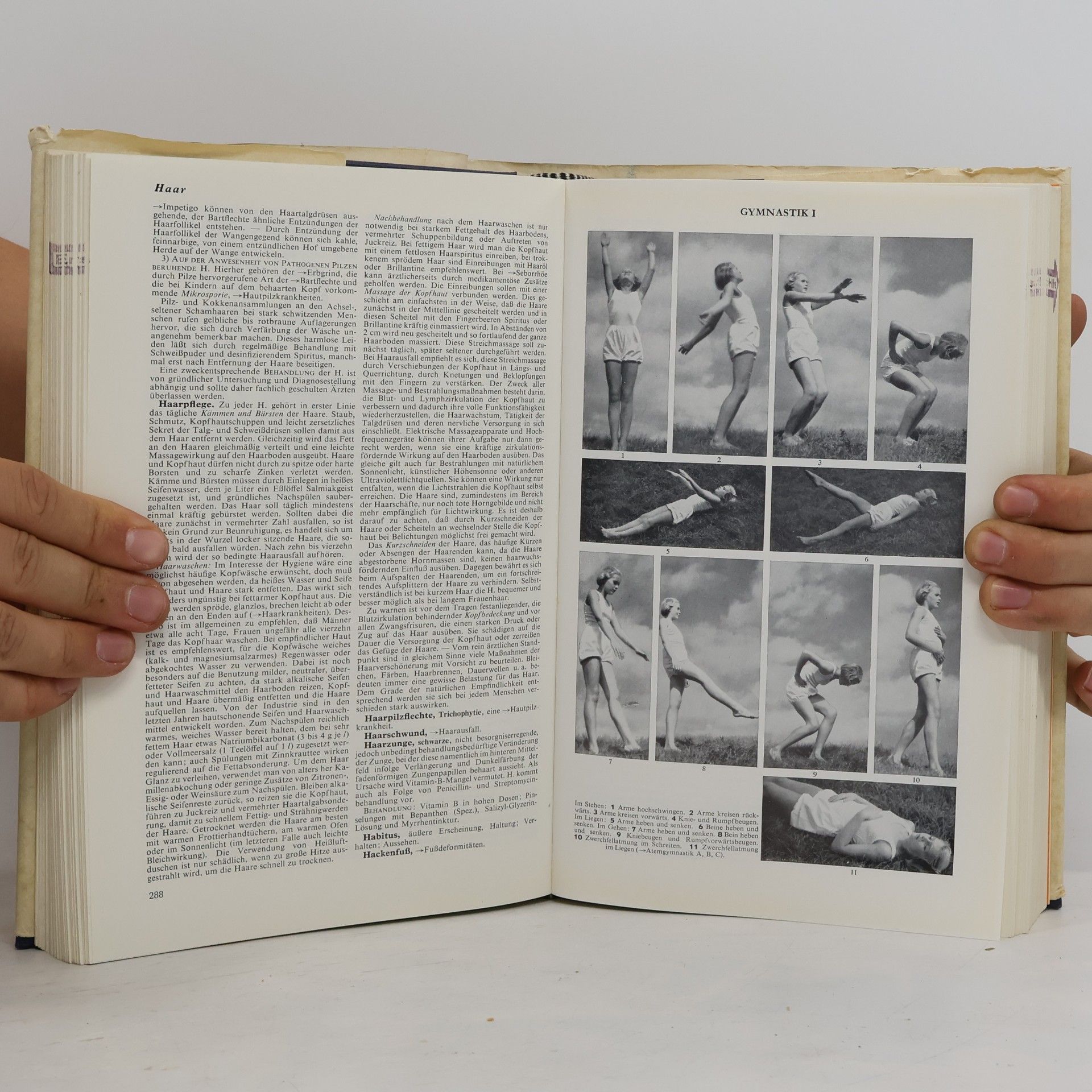 Various authors Der Gesundheits Brockhaus. Volksbuch vom Menschen und der praktischen Heilkunde