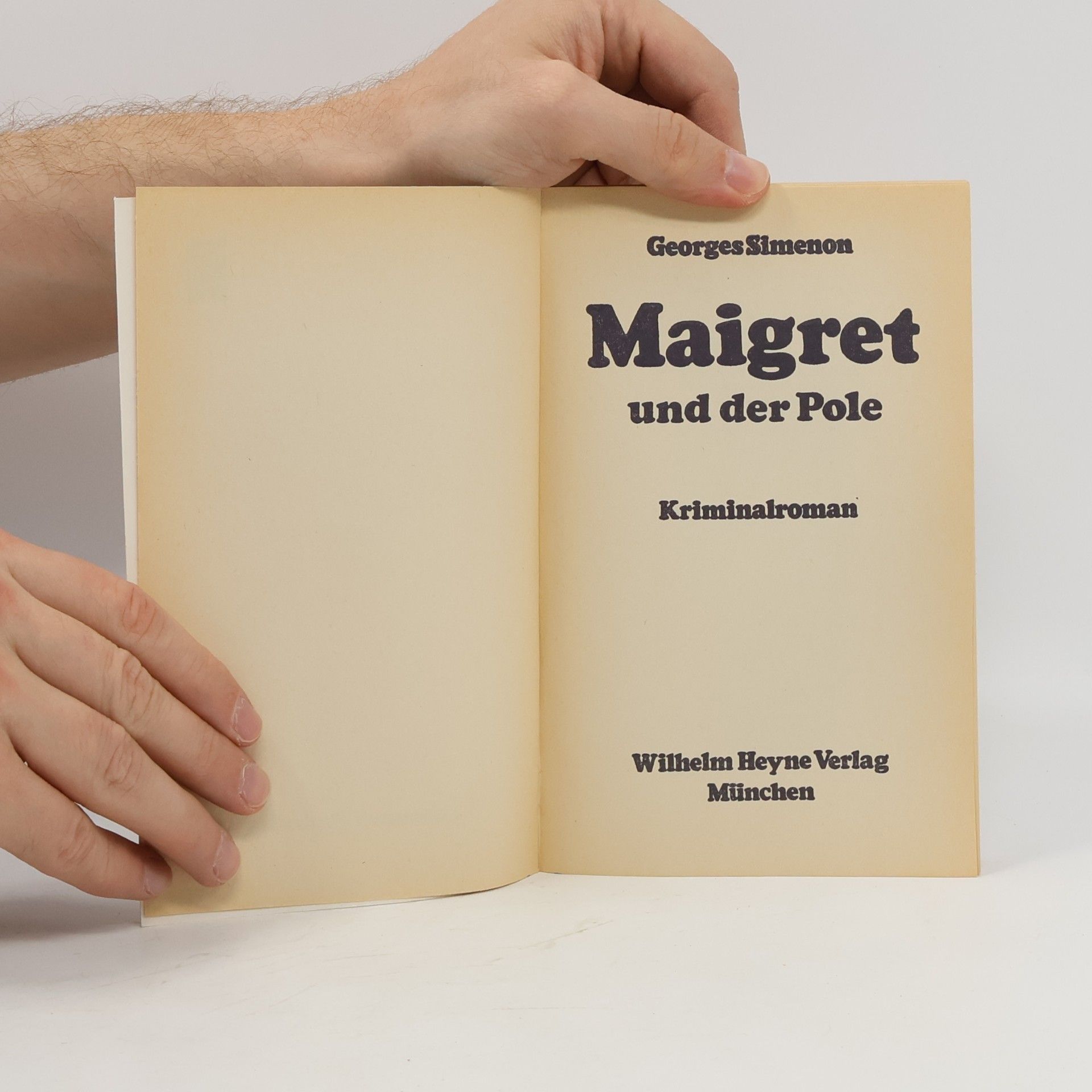 Georges Simenon Maigret und der Pole