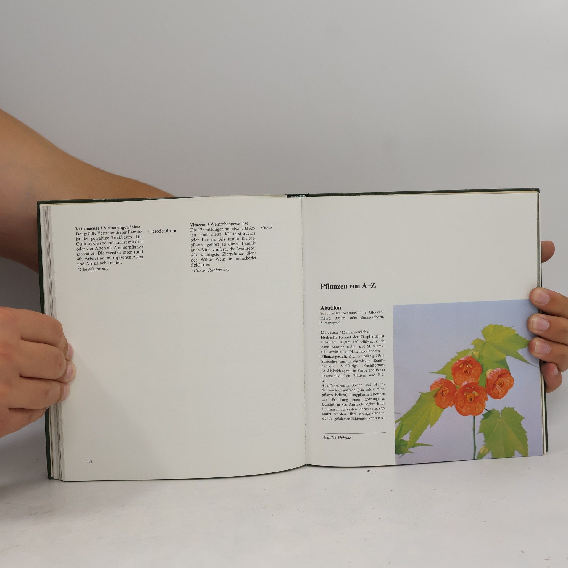 Collectif d'auteurs Das neue große farbige Buch der Zimmerpflanzen