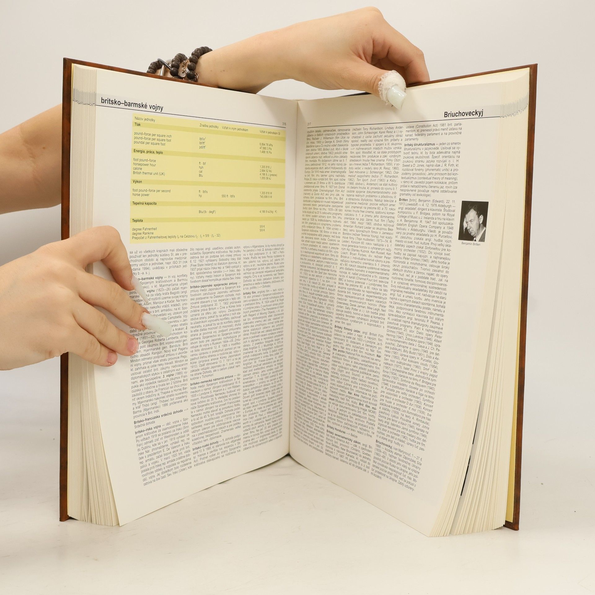 Kolektiv autorů Encyclopaedia Beliana 2. Bell-Czy