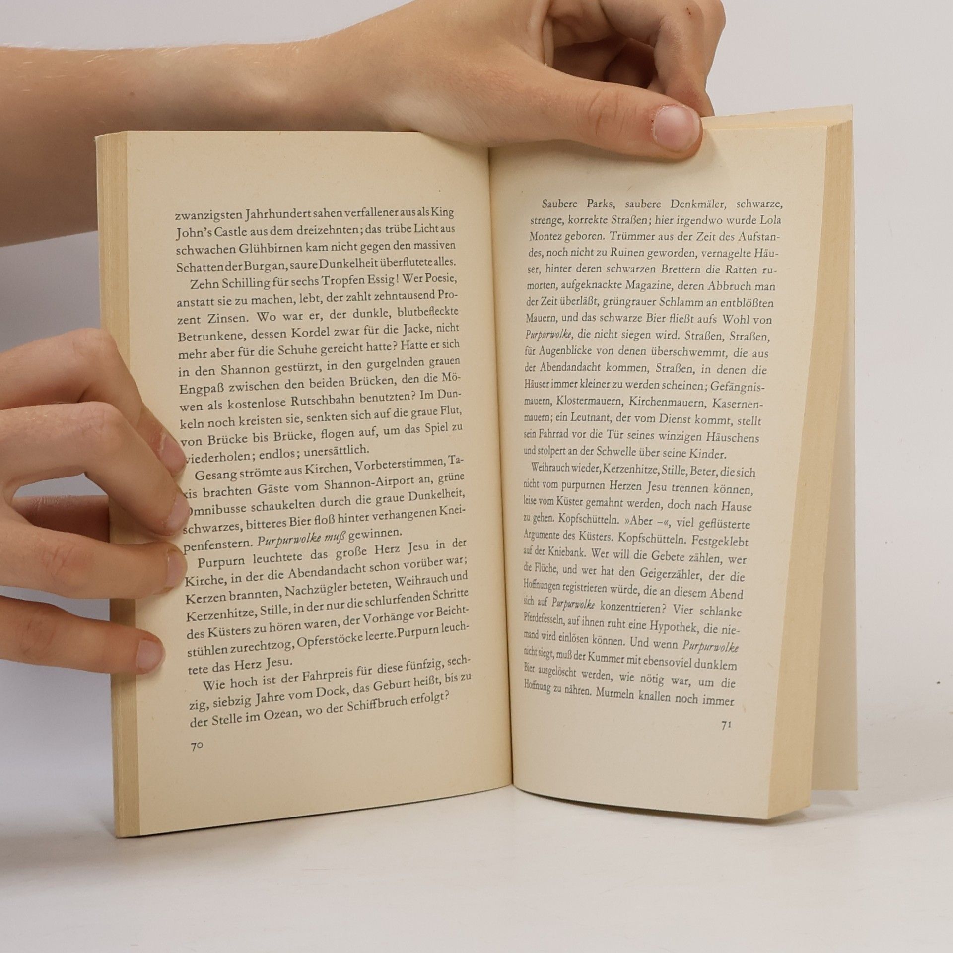 Heinrich Böll Irisches Tagebuch