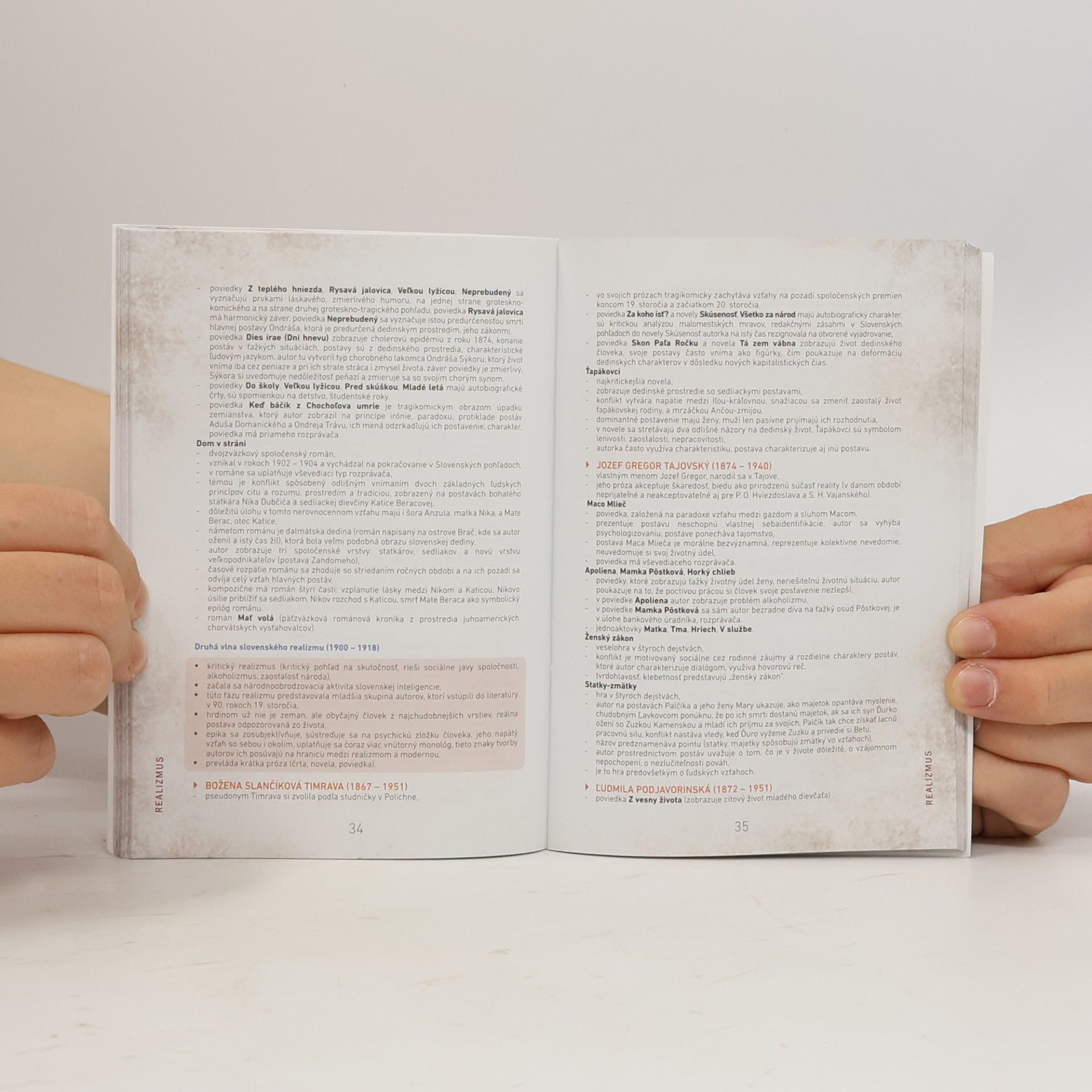 Autorenkollektiv Literatúra do vrecka: stredoškolské učivo