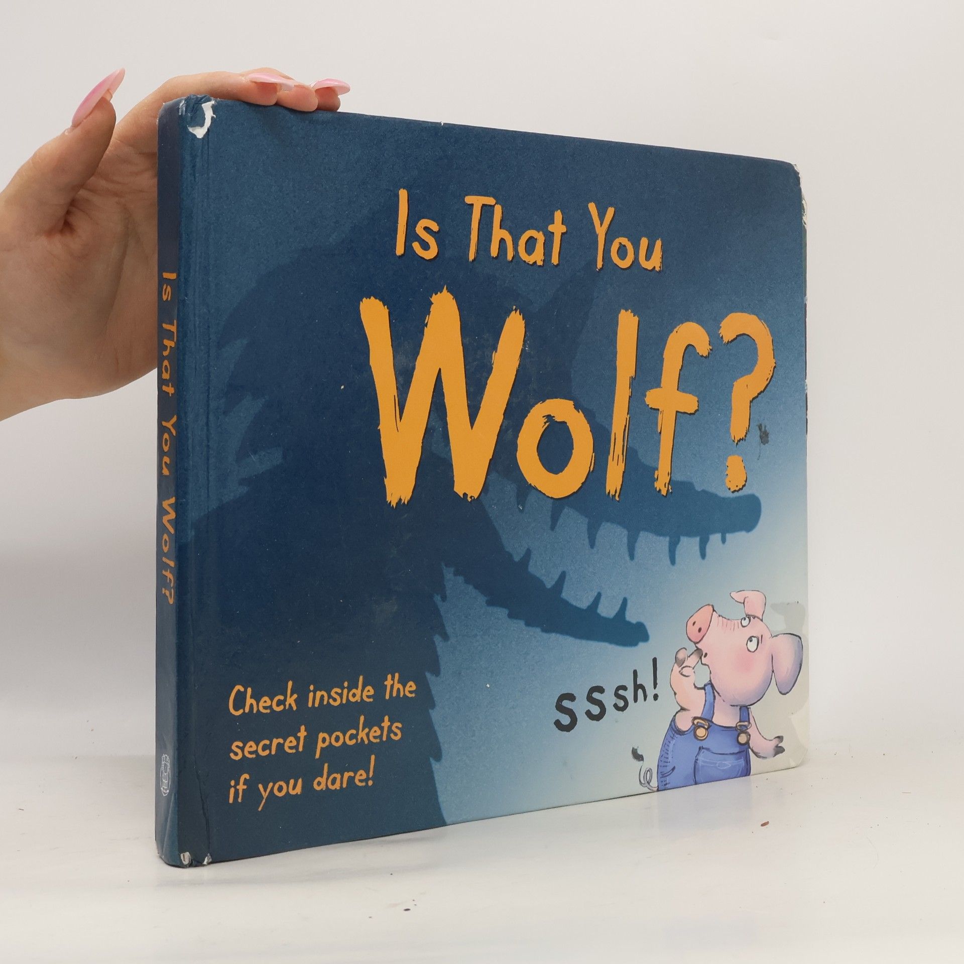 Cats's Pyjamas books Is That You Wolf?