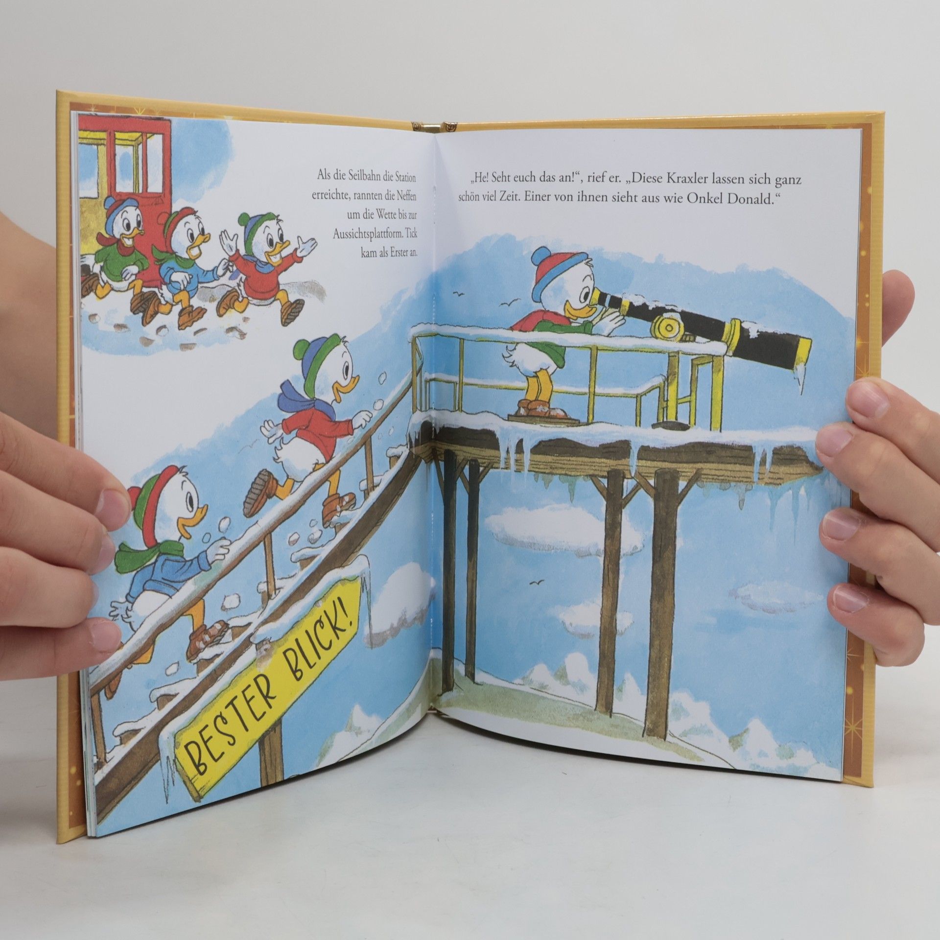 Various authors Donald, der Bergsteiger