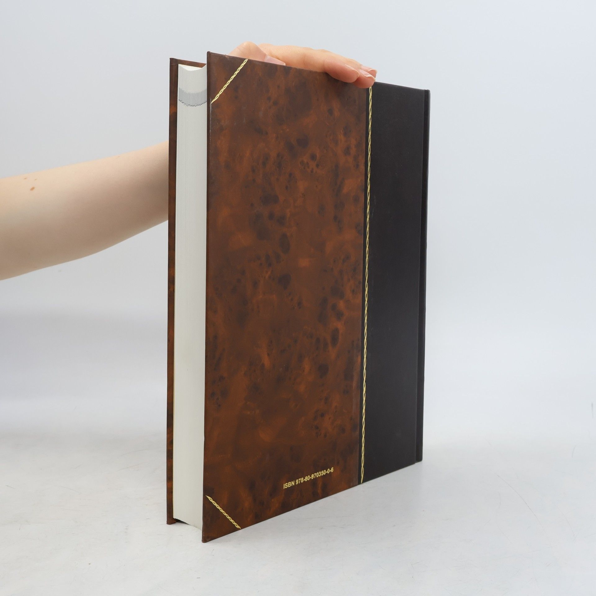 Kolektiv autorů Encyclopaedia Beliana 6