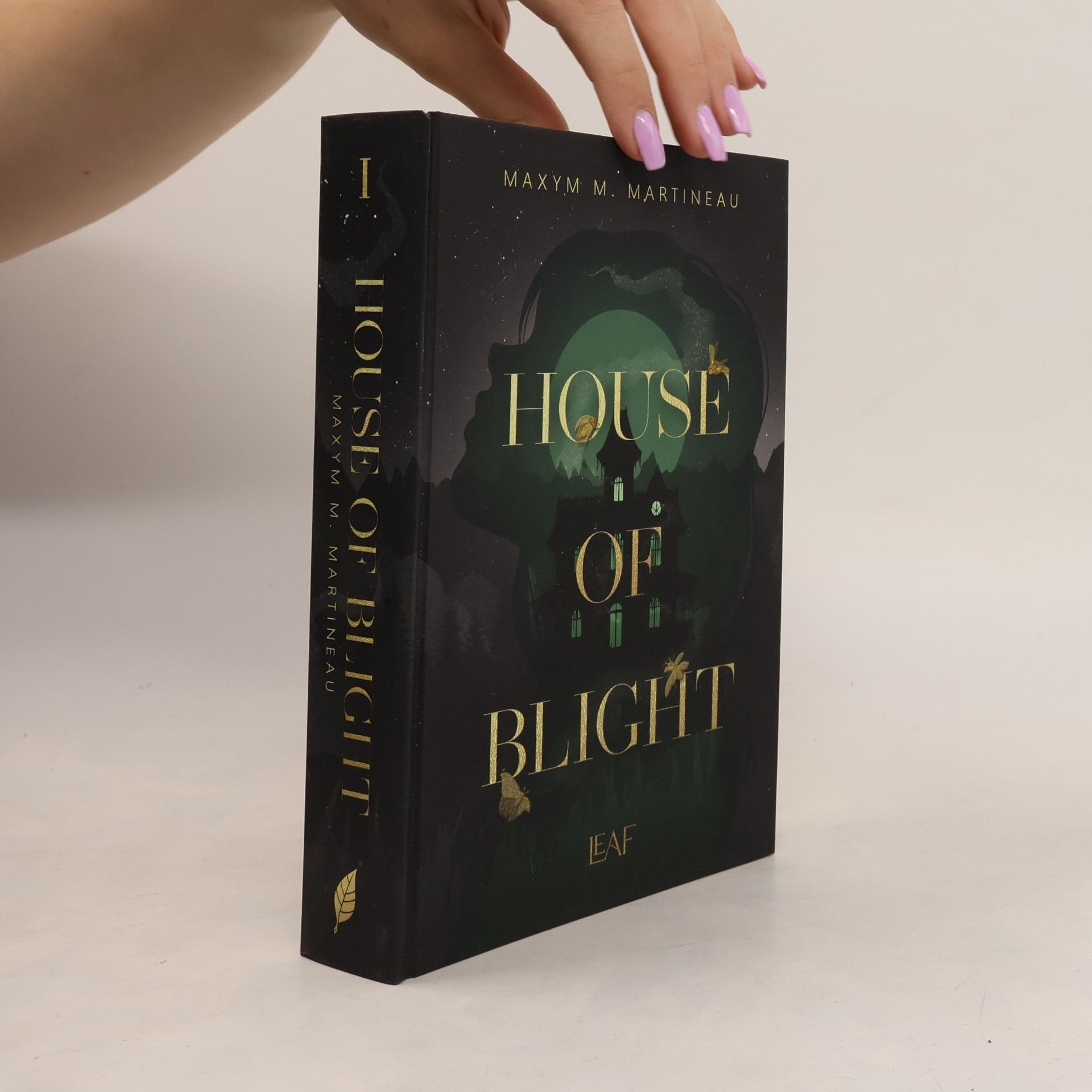 Maxym M. Martineau Die Threadmender Chroniken - 1: House of Blight
