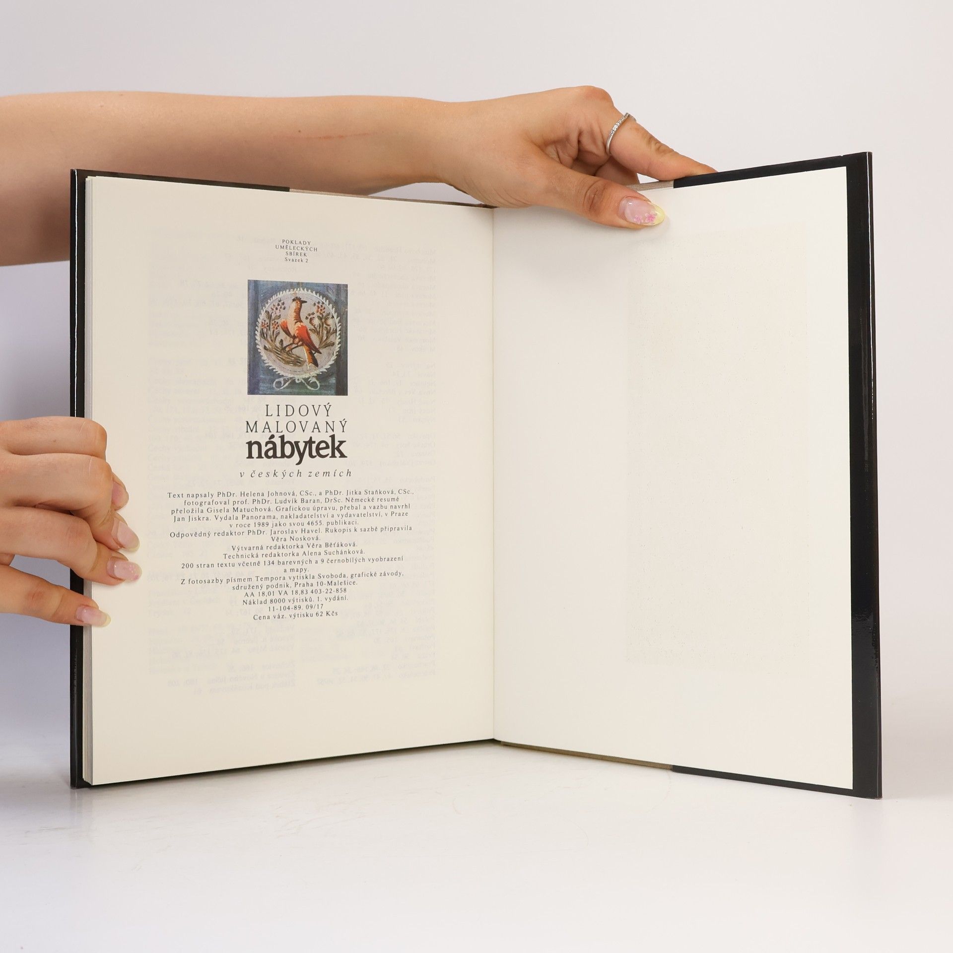 Helena Johnová Lidový malovaný nábytek v českých zemích