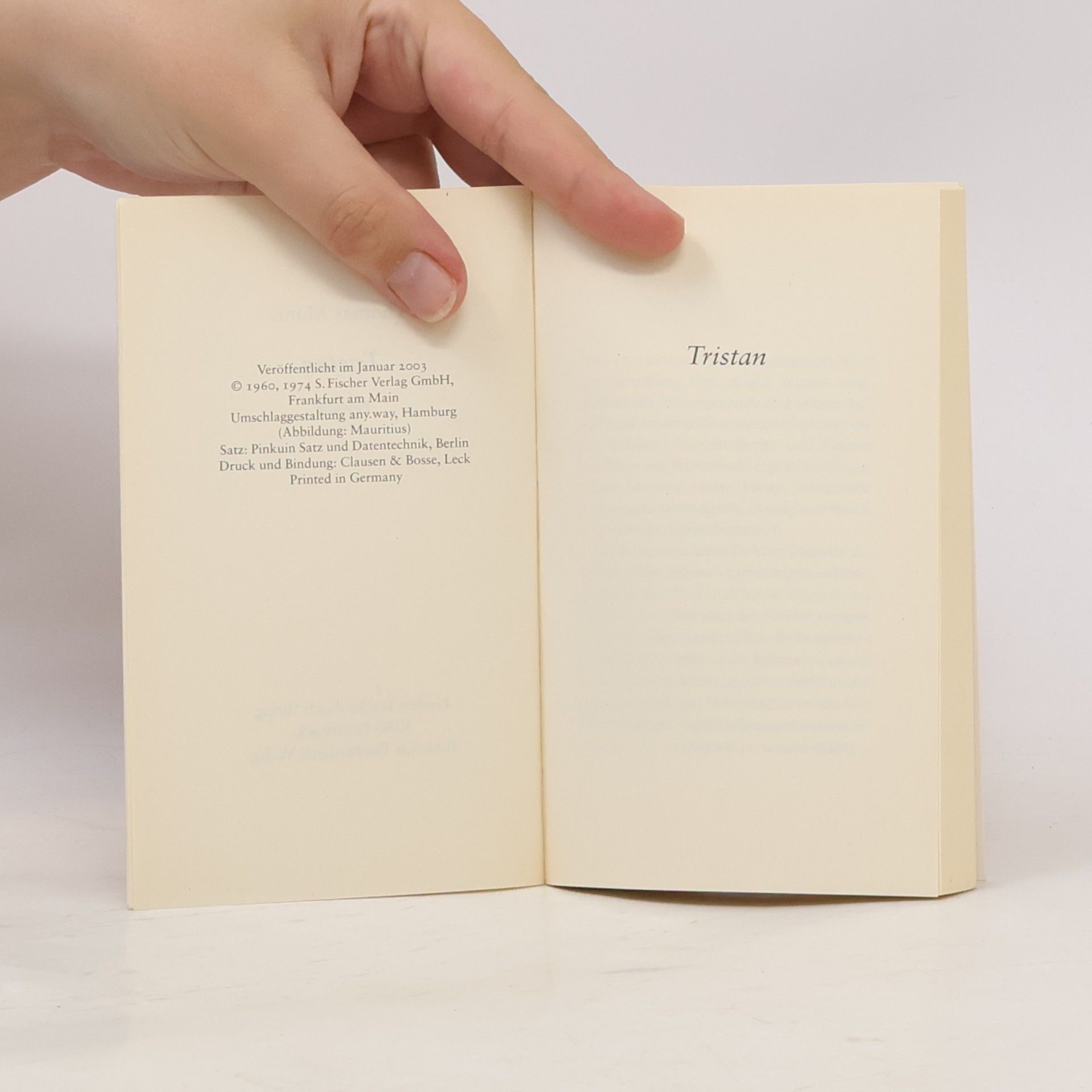 Thomas Mann Tristan