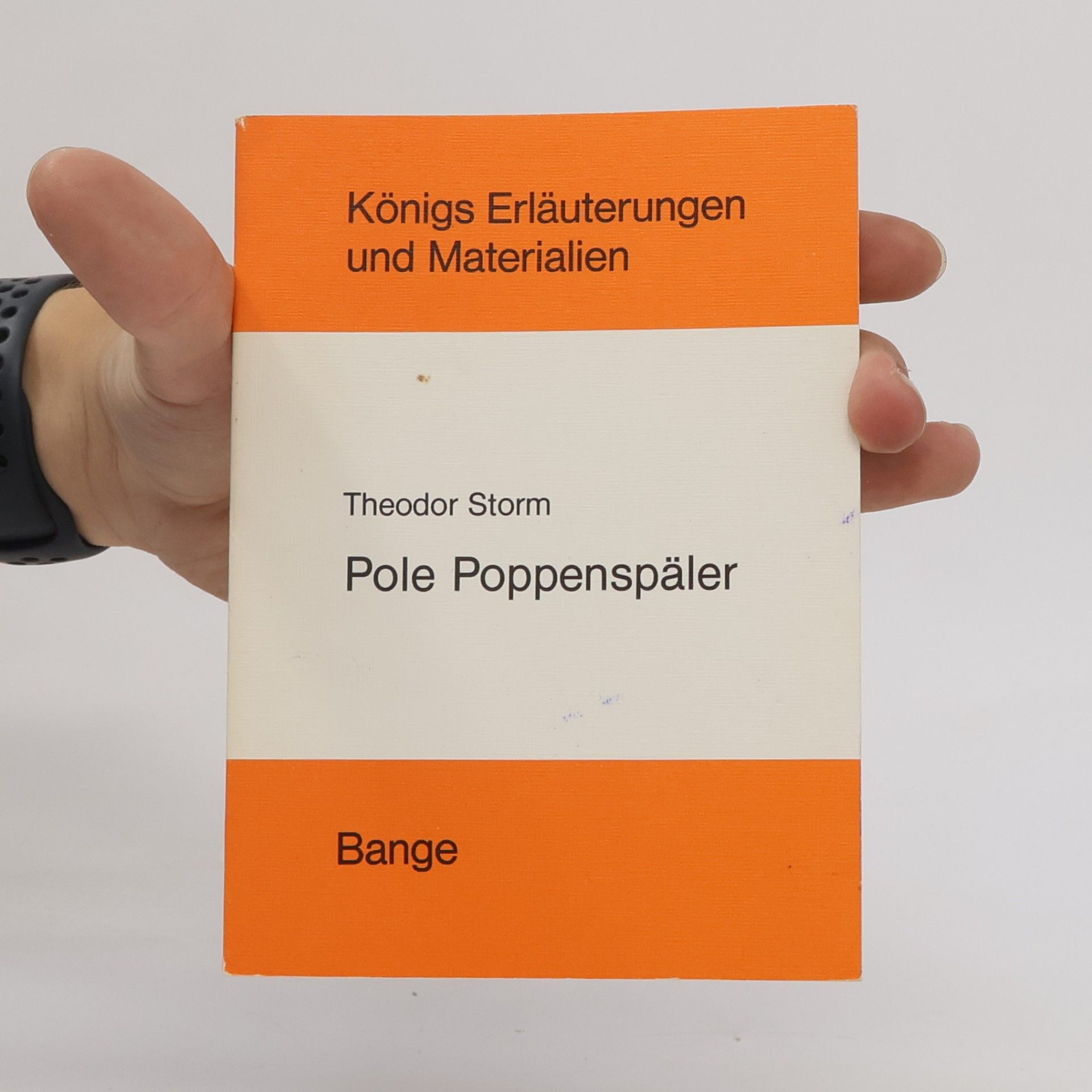 Theodor Storm Königs Erläuterungen und Materialien - 194/194a: Pole Poppenspäler